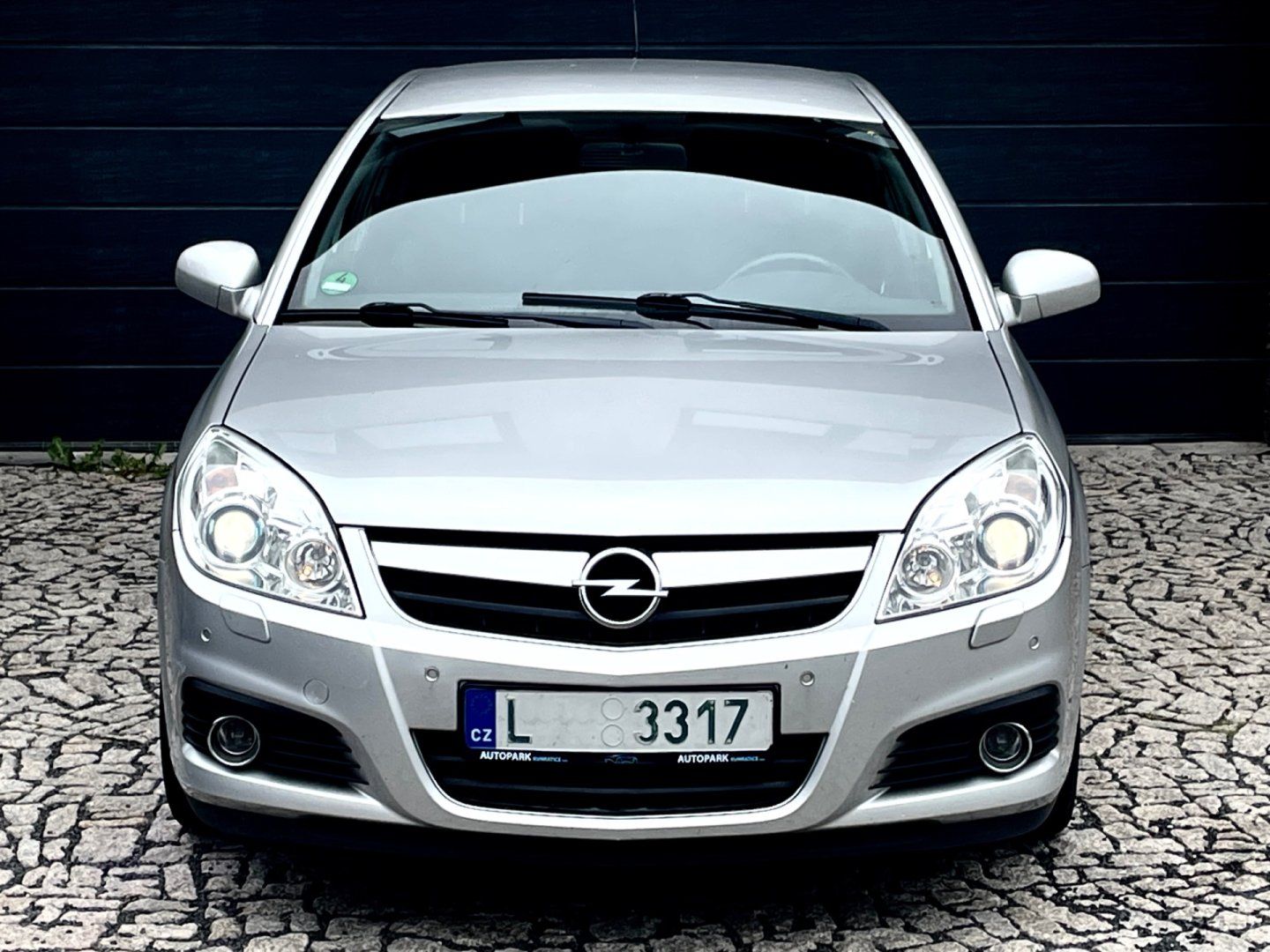 Opel Signum, 1.9 CDTi automat - fotka 2