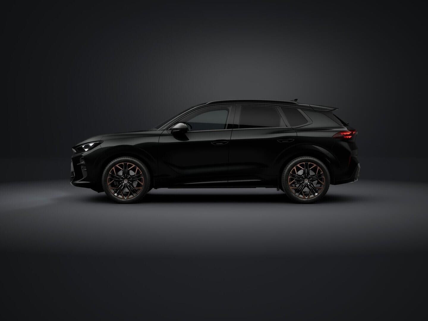 Cupra Terramar, 2.0 TSI 4WD 150 kW - fotka 3