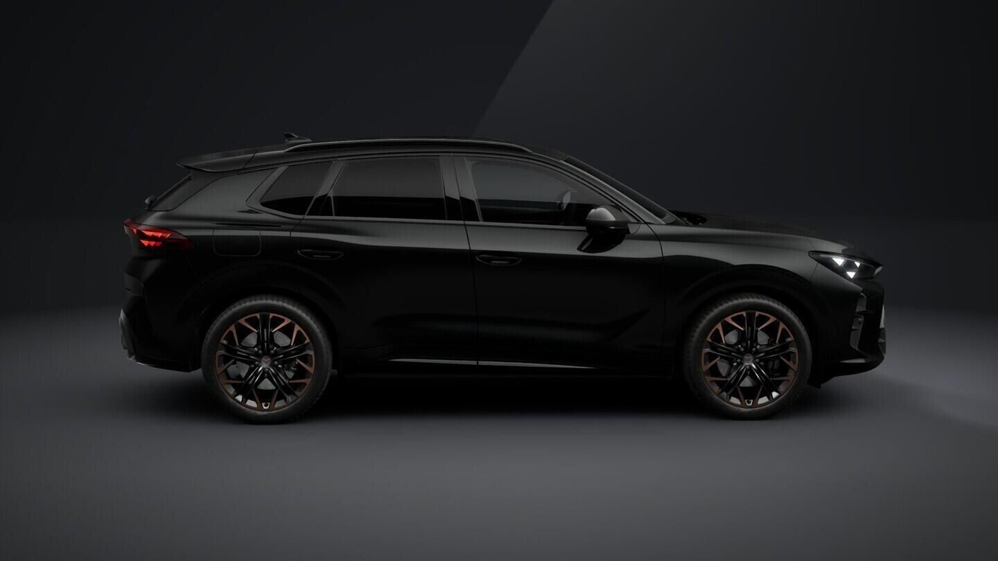 Cupra Terramar, 2.0 TSI 4WD 150 kW - fotka 5