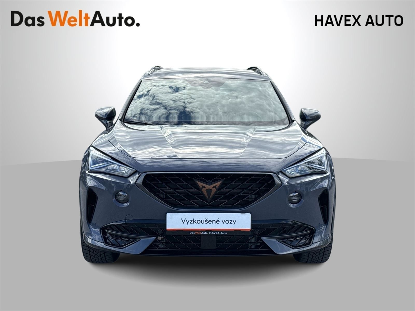 Cupra Formentor, 2.0 TSI 4x4 DSG - fotka 4