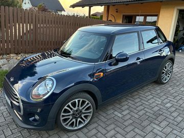 Cooper D, TOP, plný servis