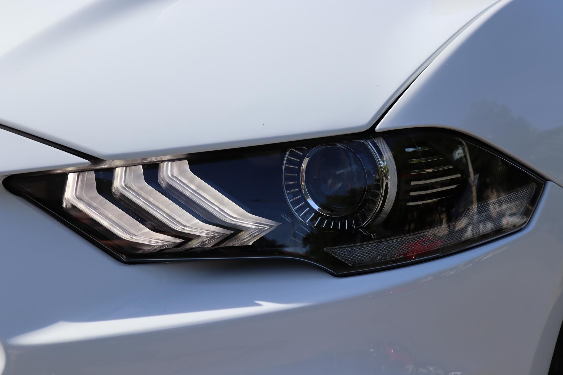 Ford Mustang, SHELBY GT-H 5.0 V8 CONVERTIBLE - fotka 4
