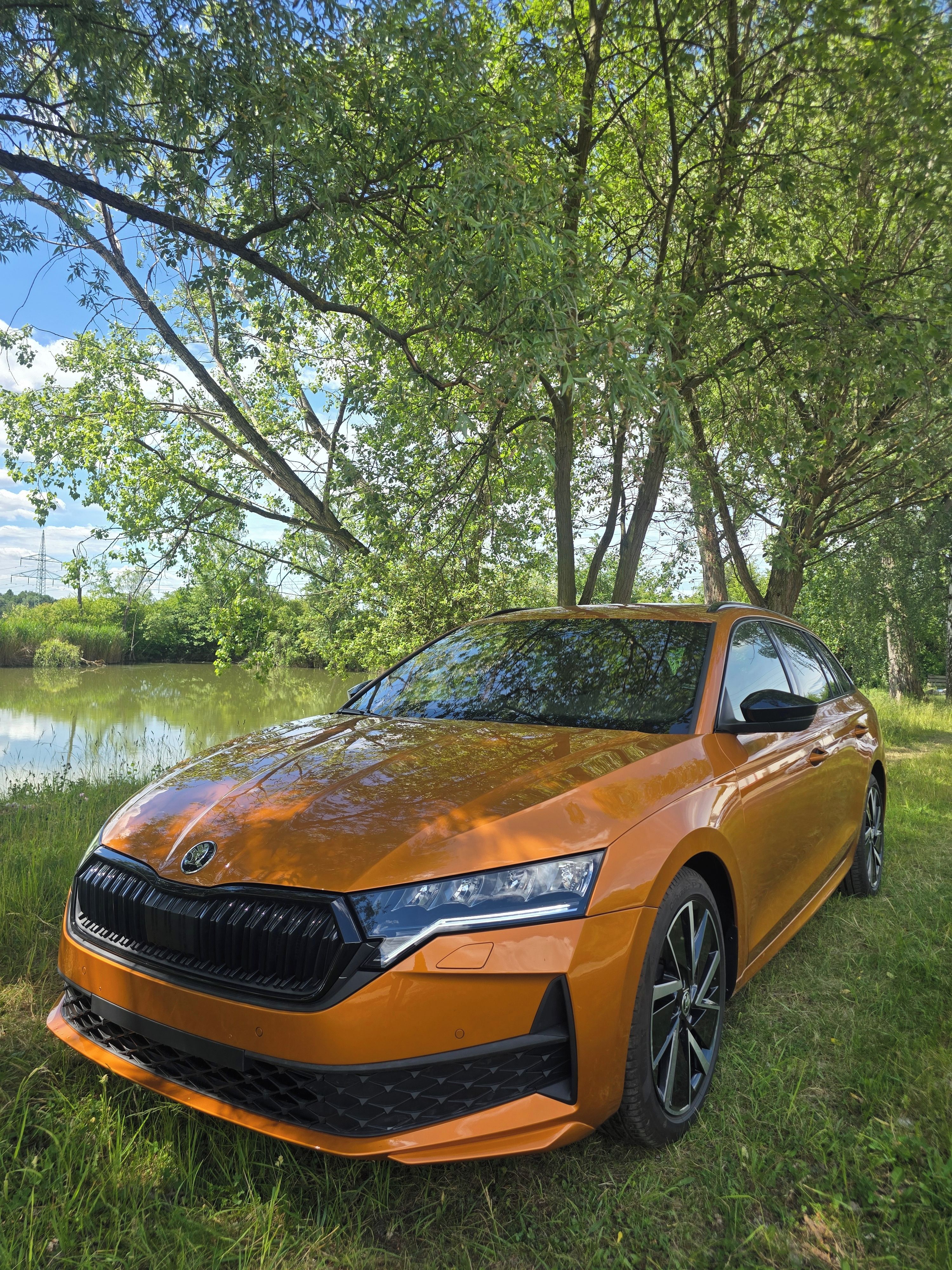 Škoda Octavia, Škoda Octavia Sportline 2025 - fotka 3