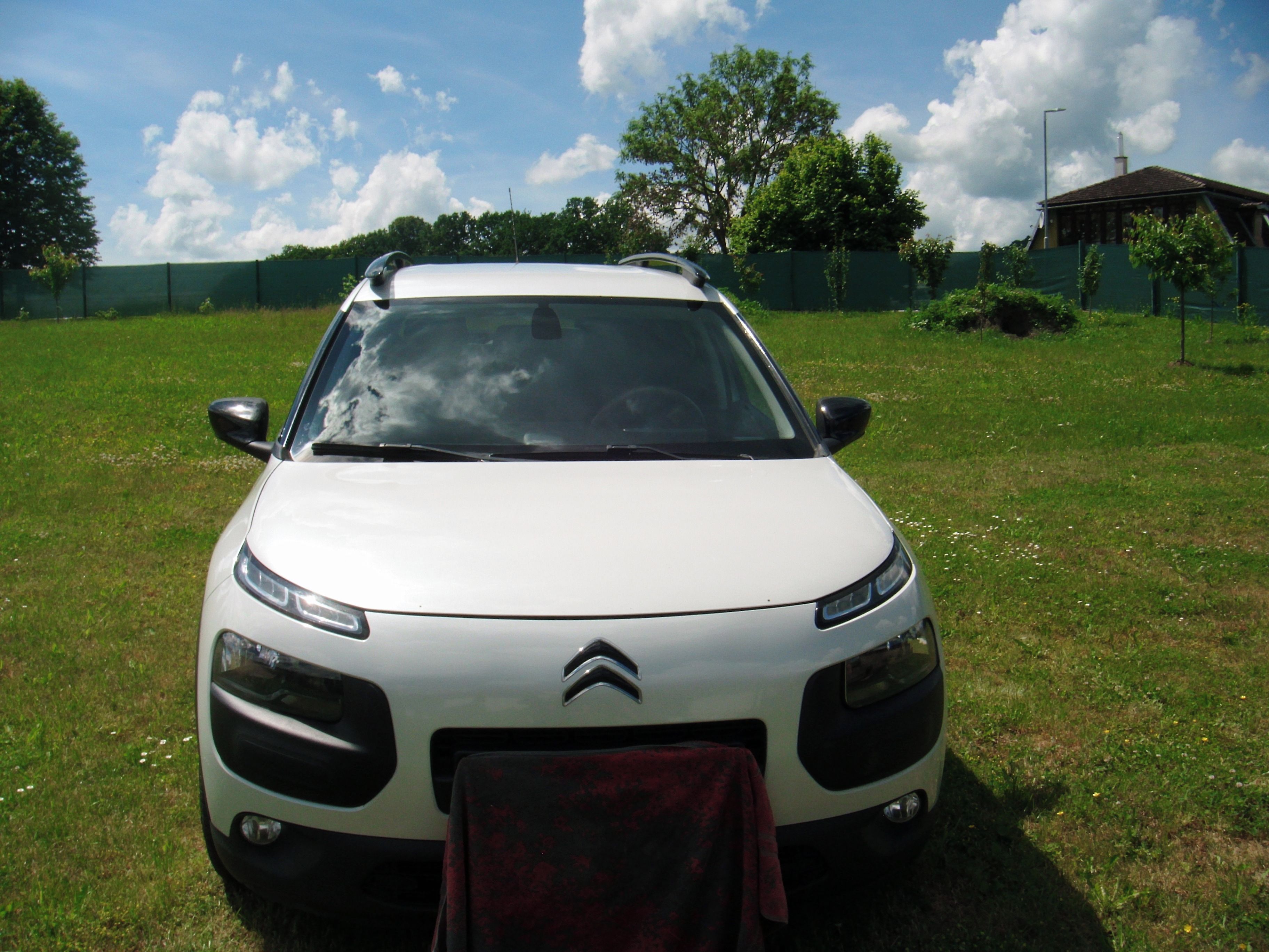 Citroën C4, citroen cactus