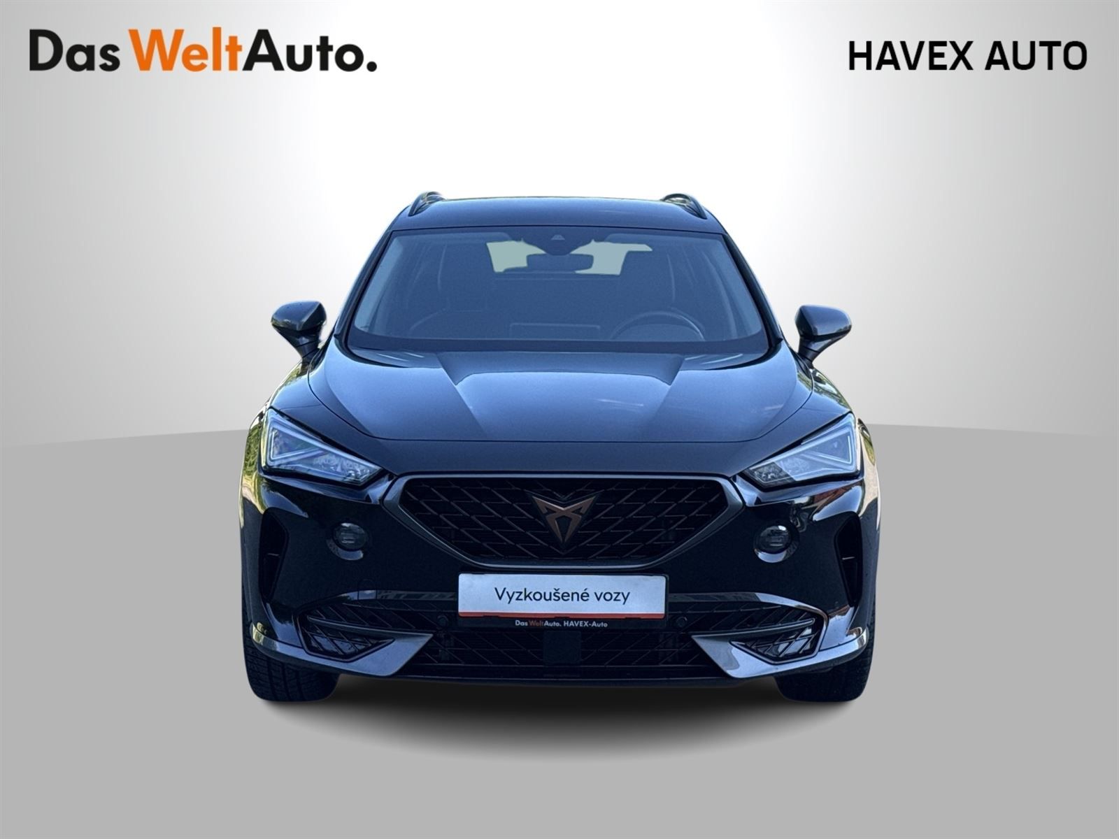 Cupra Formentor, 1.5 TSI DSG - fotka 4