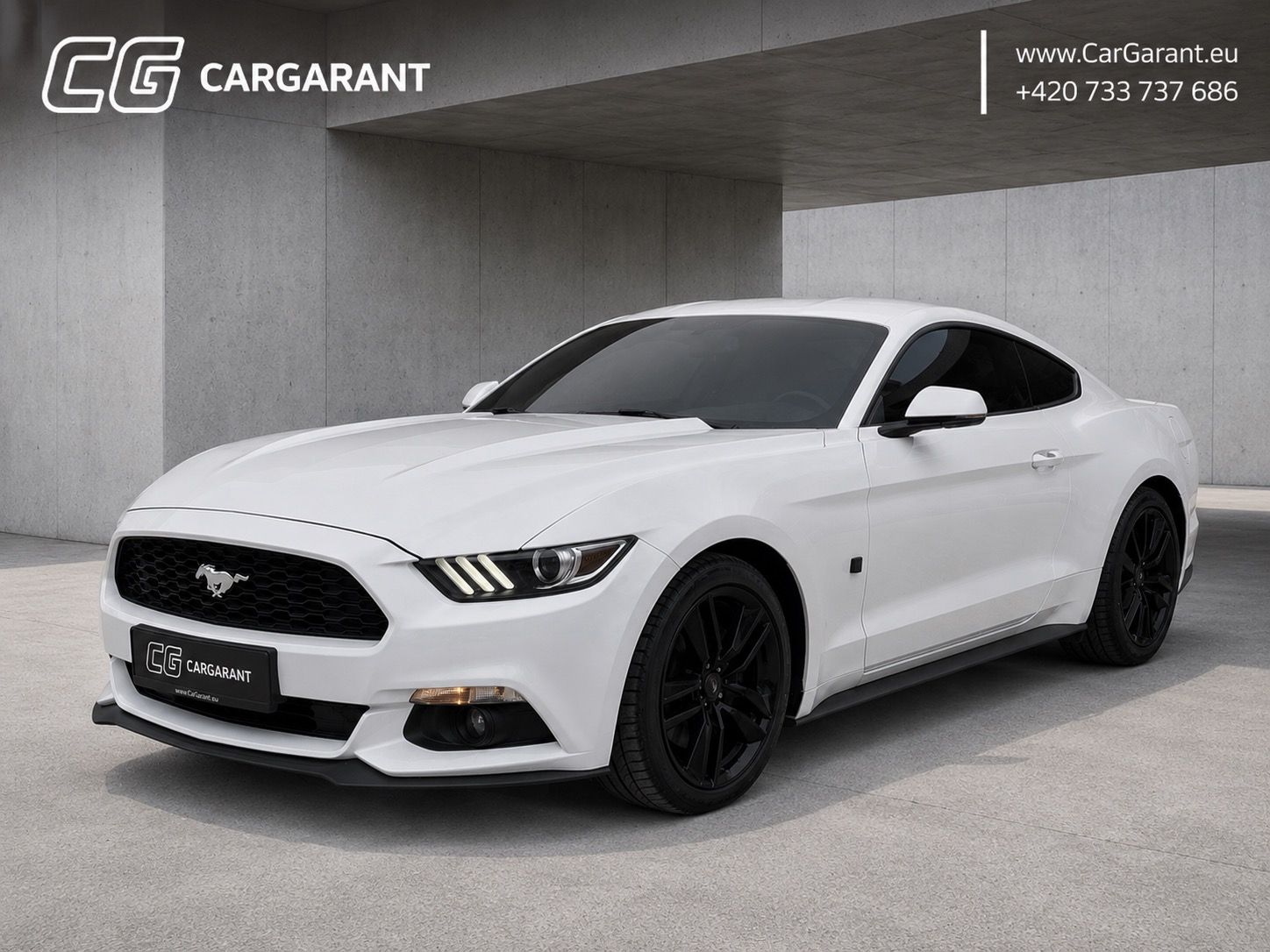 Ford Mustang, 2.3ECO BOOST,233KW,DPH,LED,ADA - fotka 2