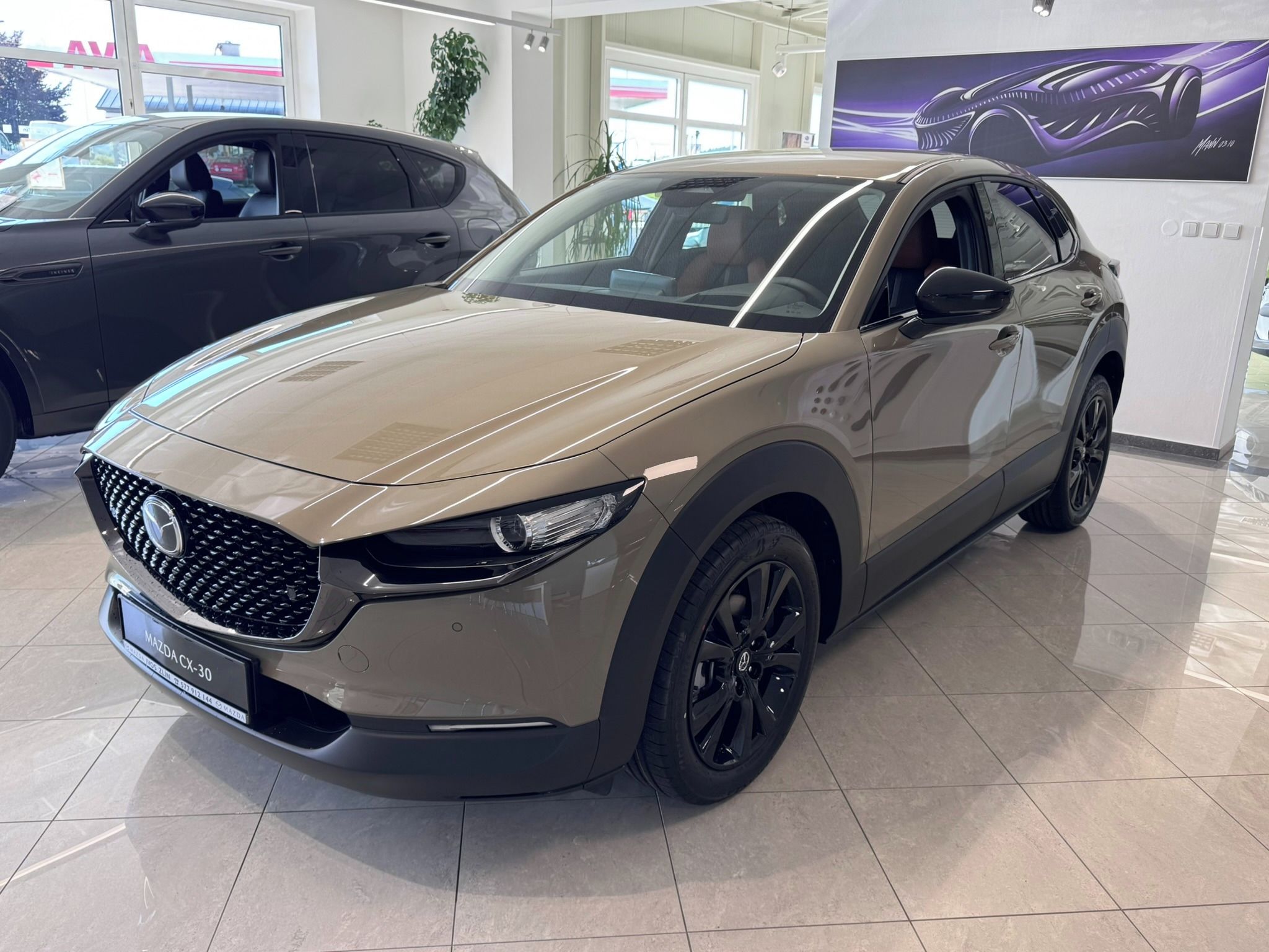 Mazda CX-30, 2.5L 6MT FWD Nagisa