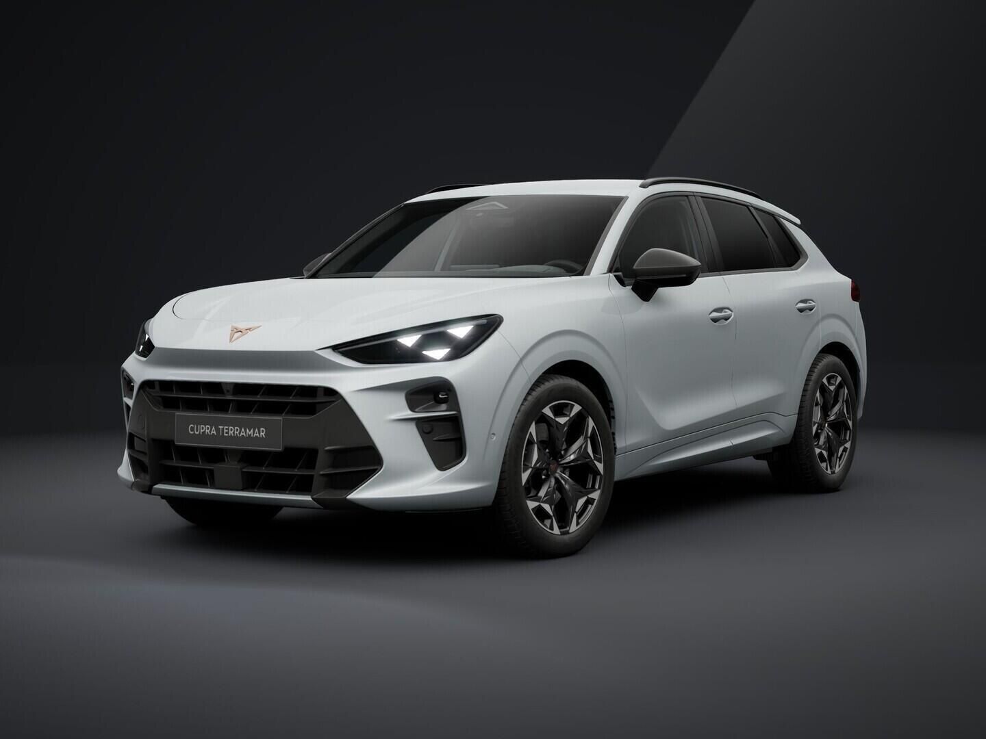 Cupra Terramar, 2.0 TSI 4WD 150 kW