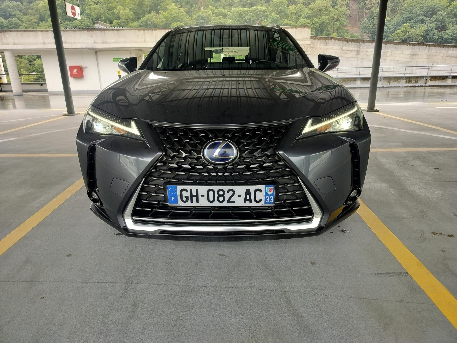 Lexus UX 300e, Bussines, Alcantara - fotka 2