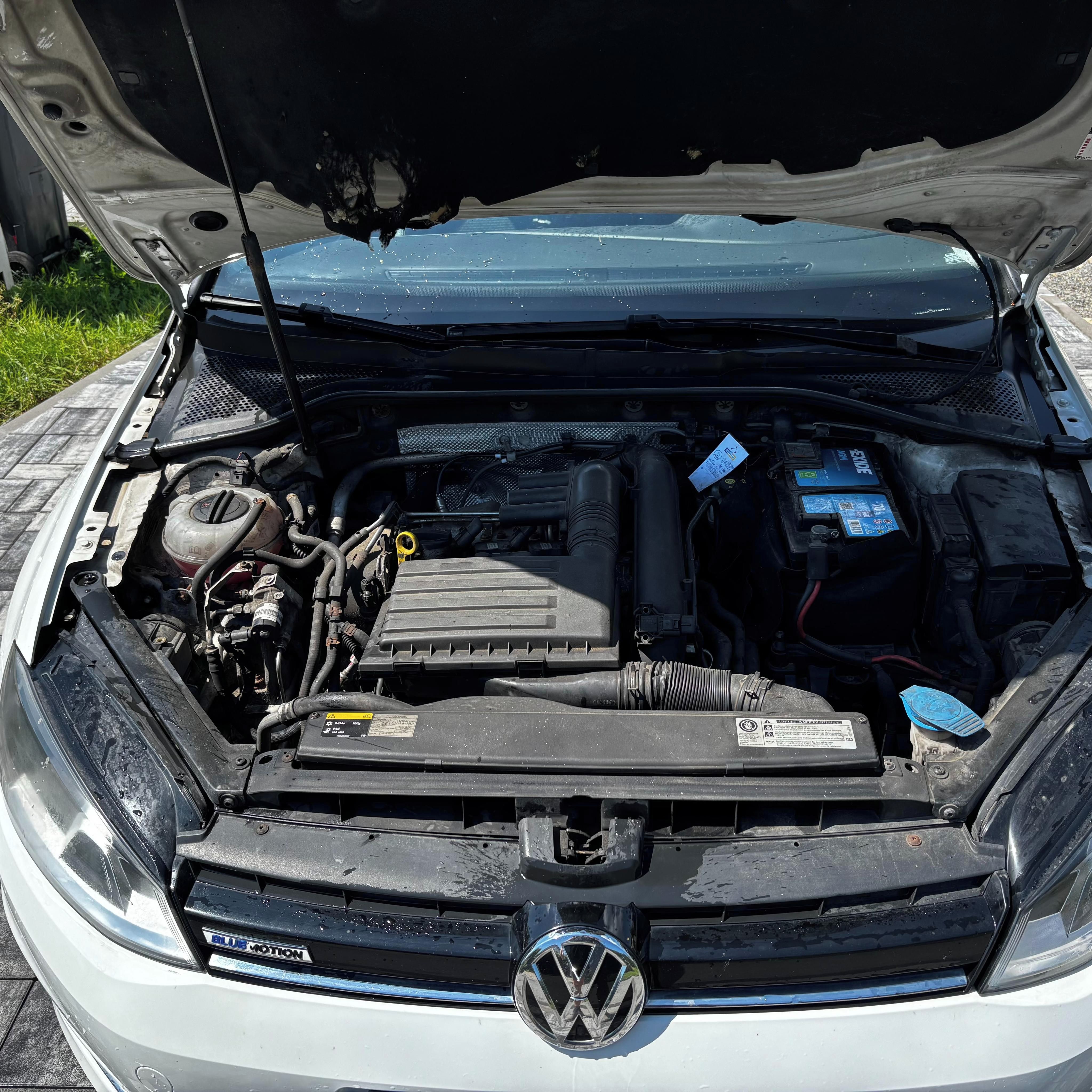 Volkswagen Golf, Volkswagen Golf VII 1.4 TSI CN - fotka 3