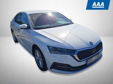 2.0 TDI, ČR,1.maj, Kůže