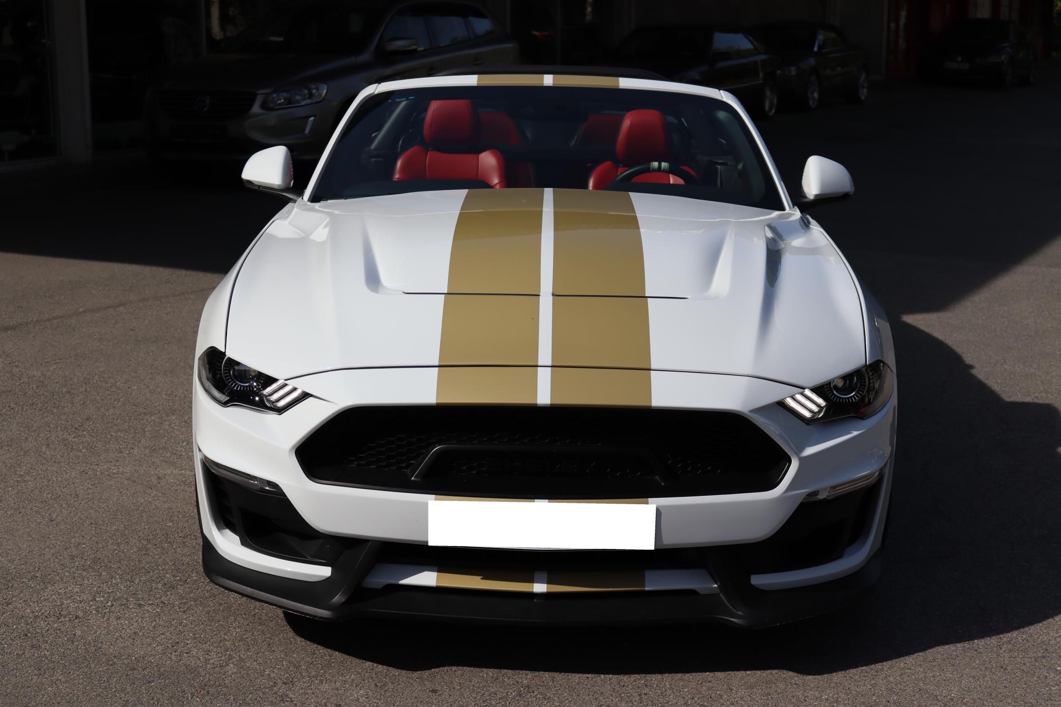 Ford Mustang, SHELBY GT-H 5.0 V8 CONVERTIBLE - fotka 2