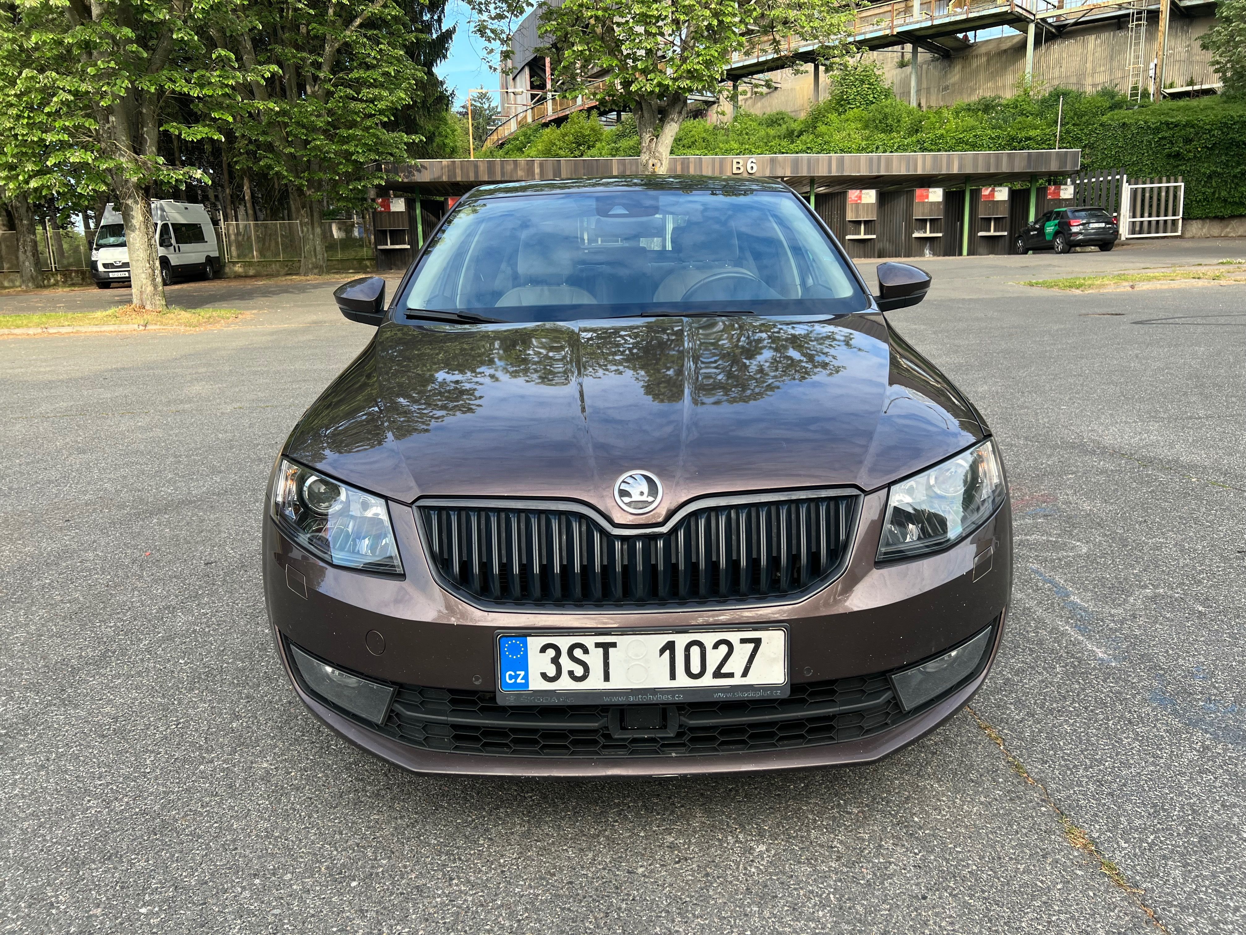 Škoda Octavia, Škoda Octavia 2.0 135kw 4x4 - fotka 2
