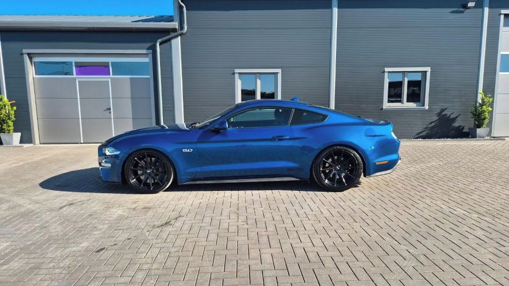 Ford Mustang, STEEDA Q500 Enforcer - fotka 6