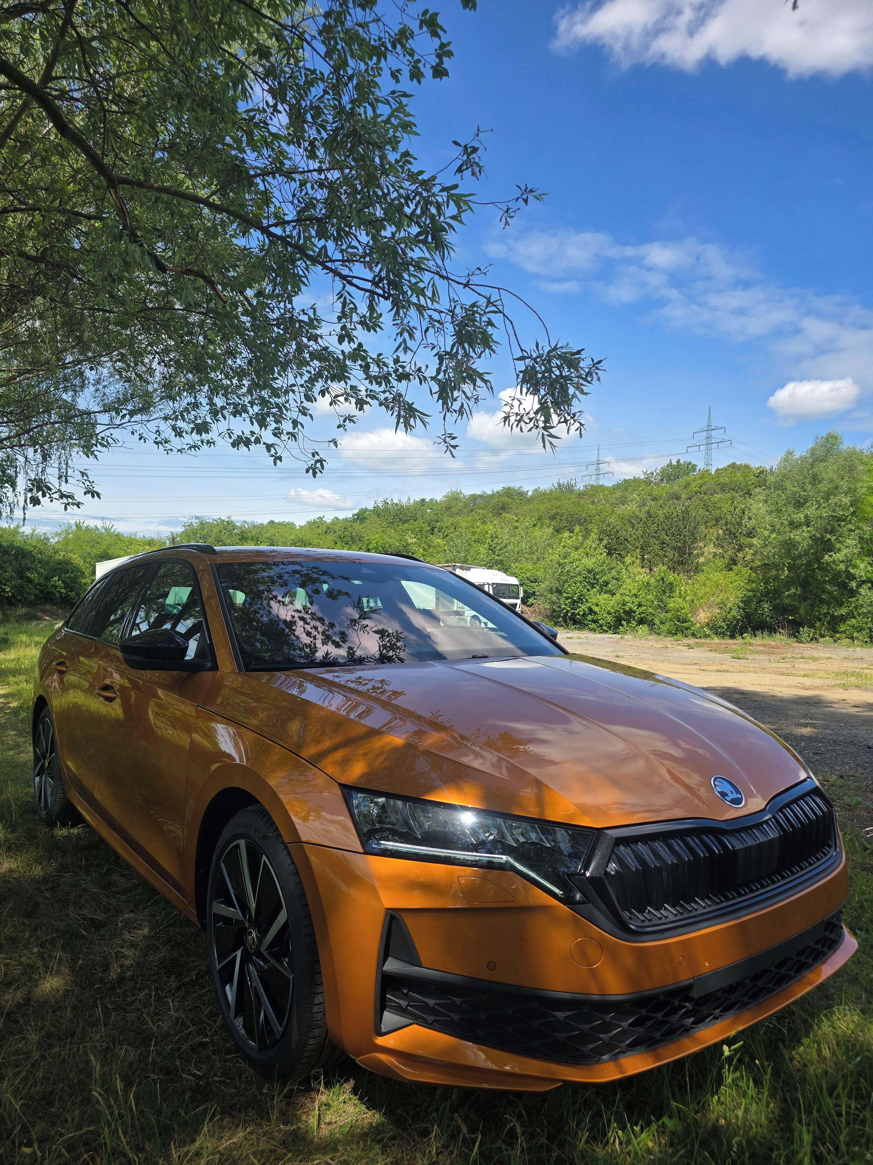 Škoda Octavia, Škoda Octavia Sportline 2025 - fotka 2