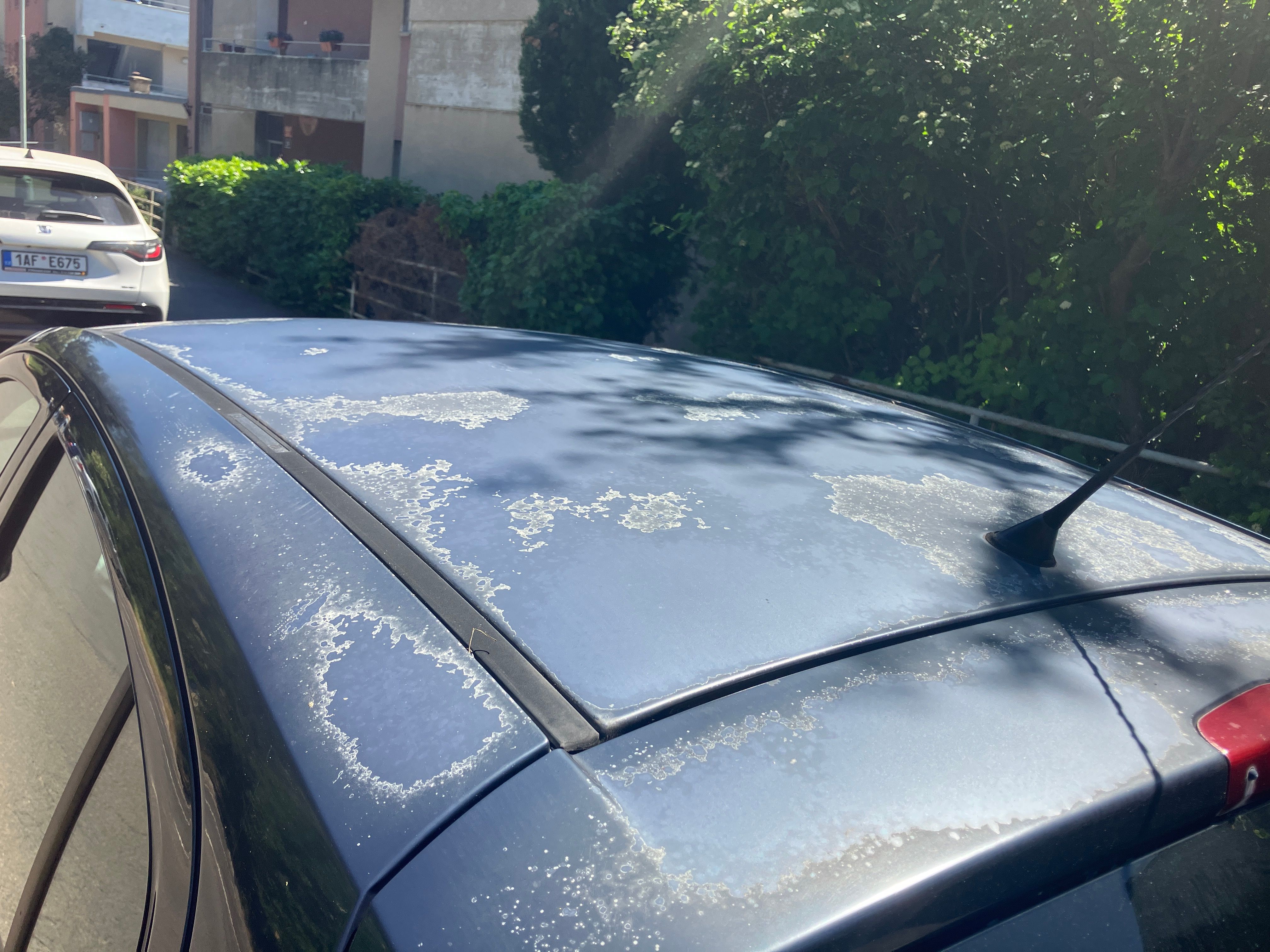 Opel Corsa, Opel Corsa 1.2 – spolehlivý - fotka 6