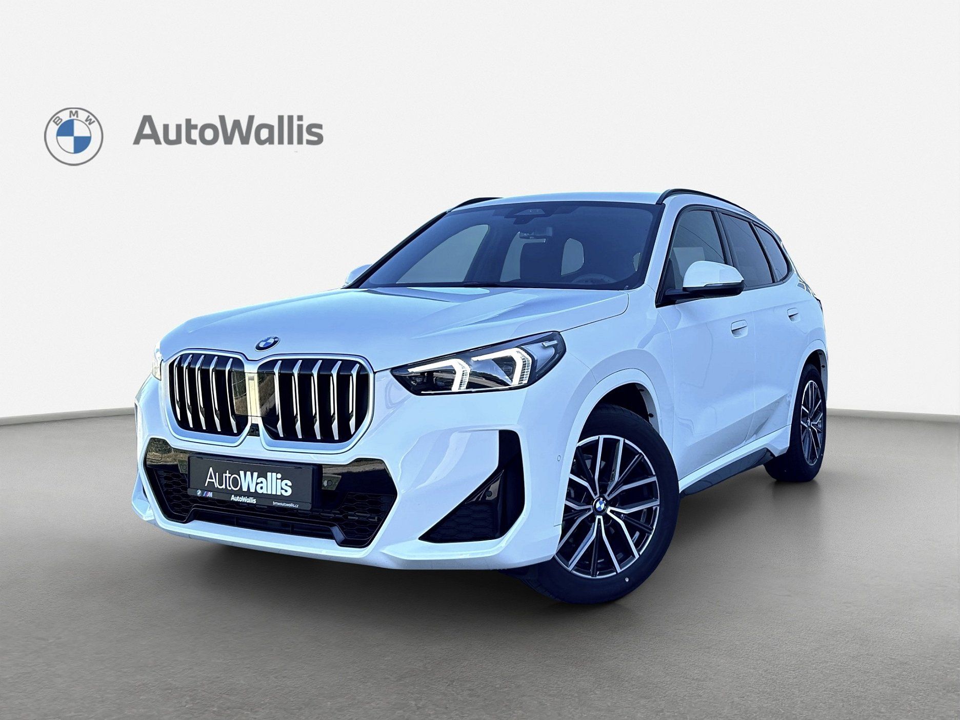 BMW X1, xDrive20d, SAV/SUV