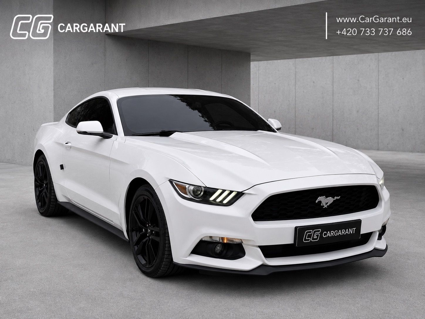 Ford Mustang, 2.3ECO BOOST,233KW,DPH,LED,ADA - fotka 3