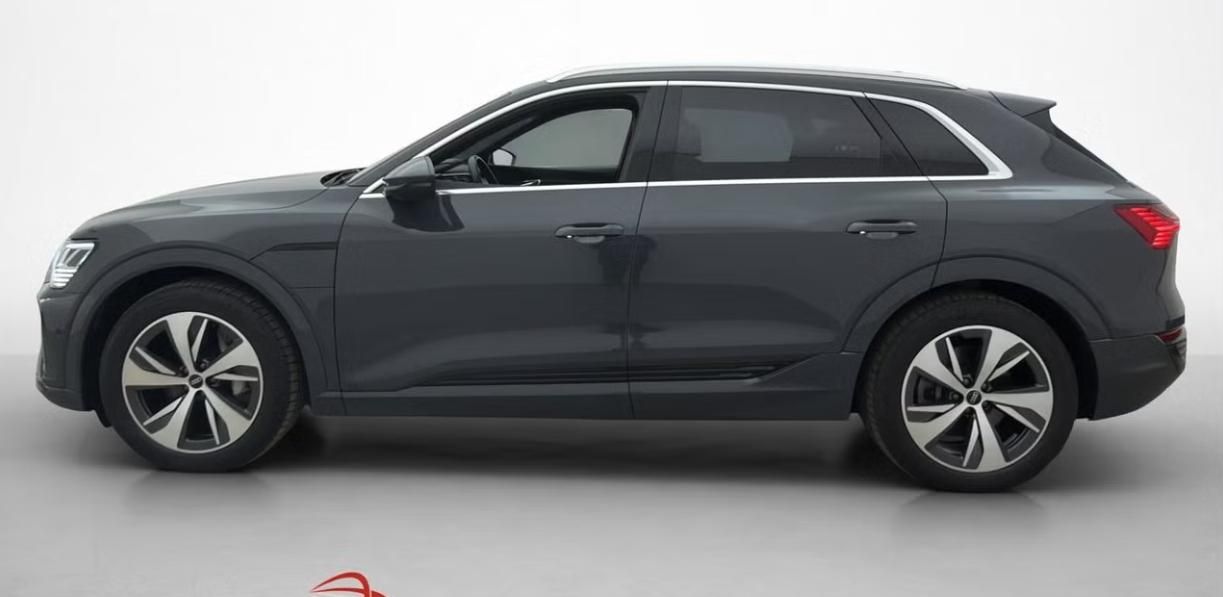 Audi Q8 e-tron, 55 Quattro Kamera Tažné - fotka 6