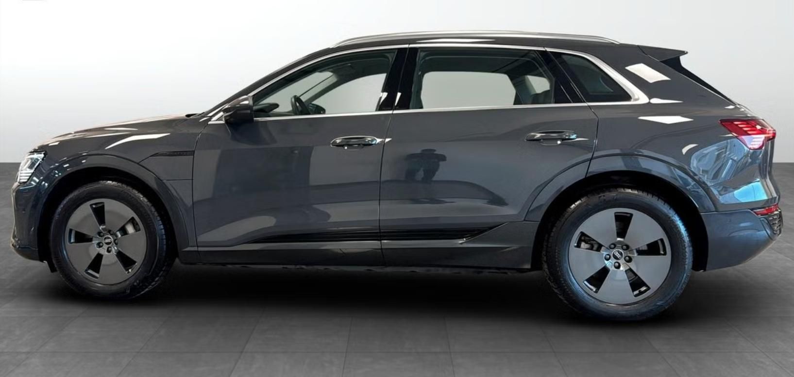 Audi Q8 e-tron, 55 Quattro Kamera Ambient LED - fotka 2