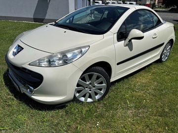 CC PLATINUM 120 KŮŽE