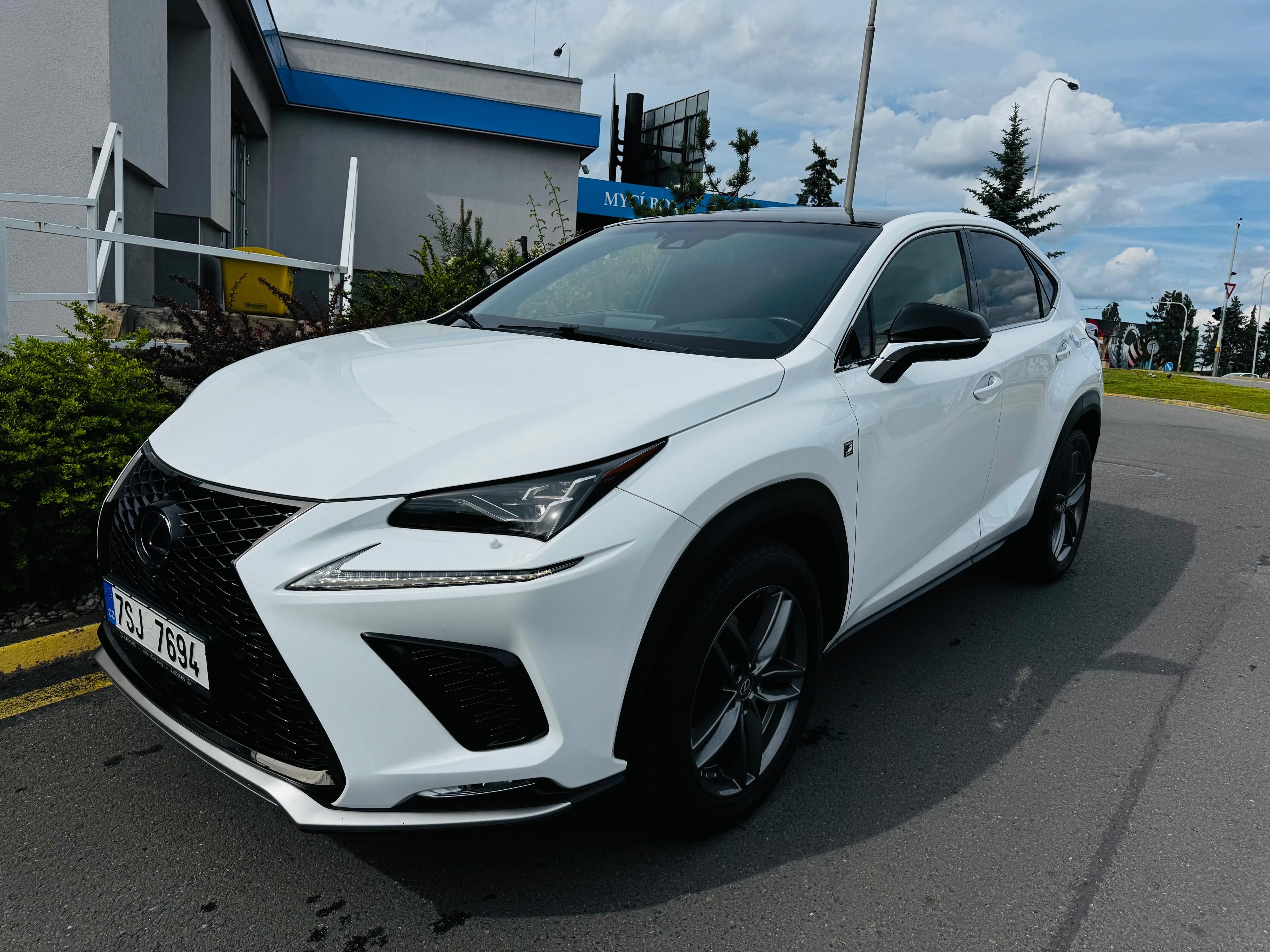 Lexus NX 300h, Lexus NX300h F-Sport