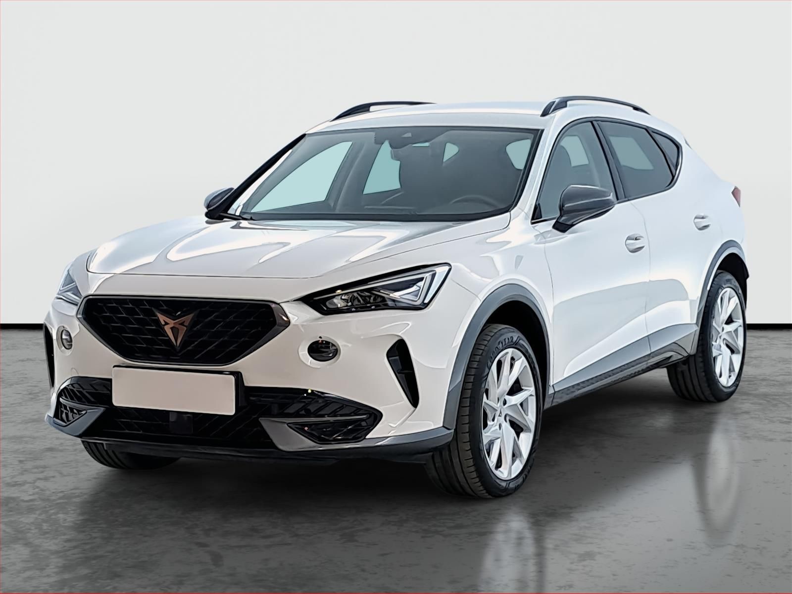 Cupra Formentor, 2.0 TSI 4Drive, 4X4, Automat - fotka 2