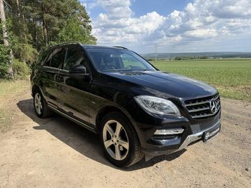 ML 250 BLUETEC+Ě