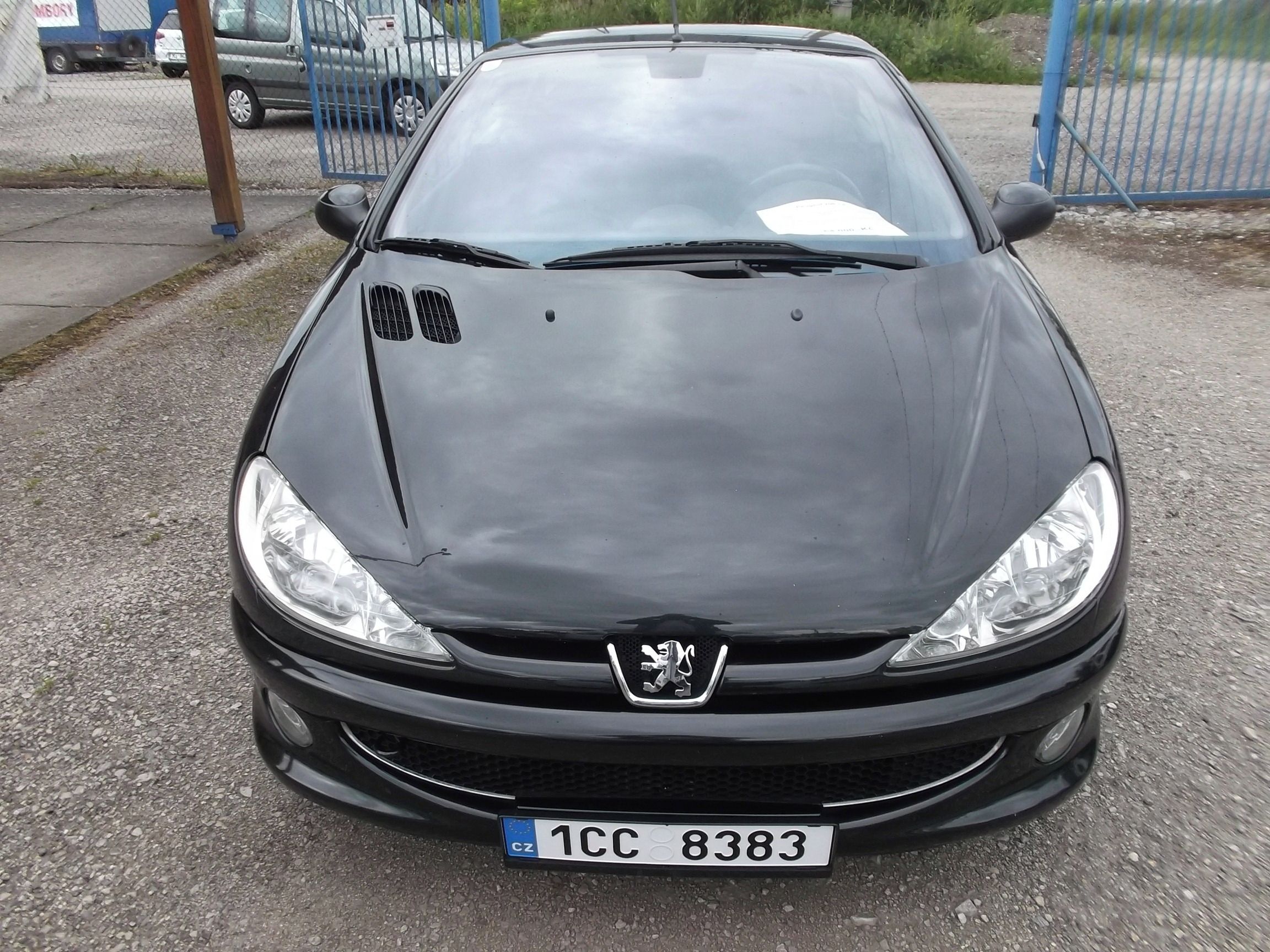 Peugeot 206, 1.6 i 16V Cabrio - fotka 6