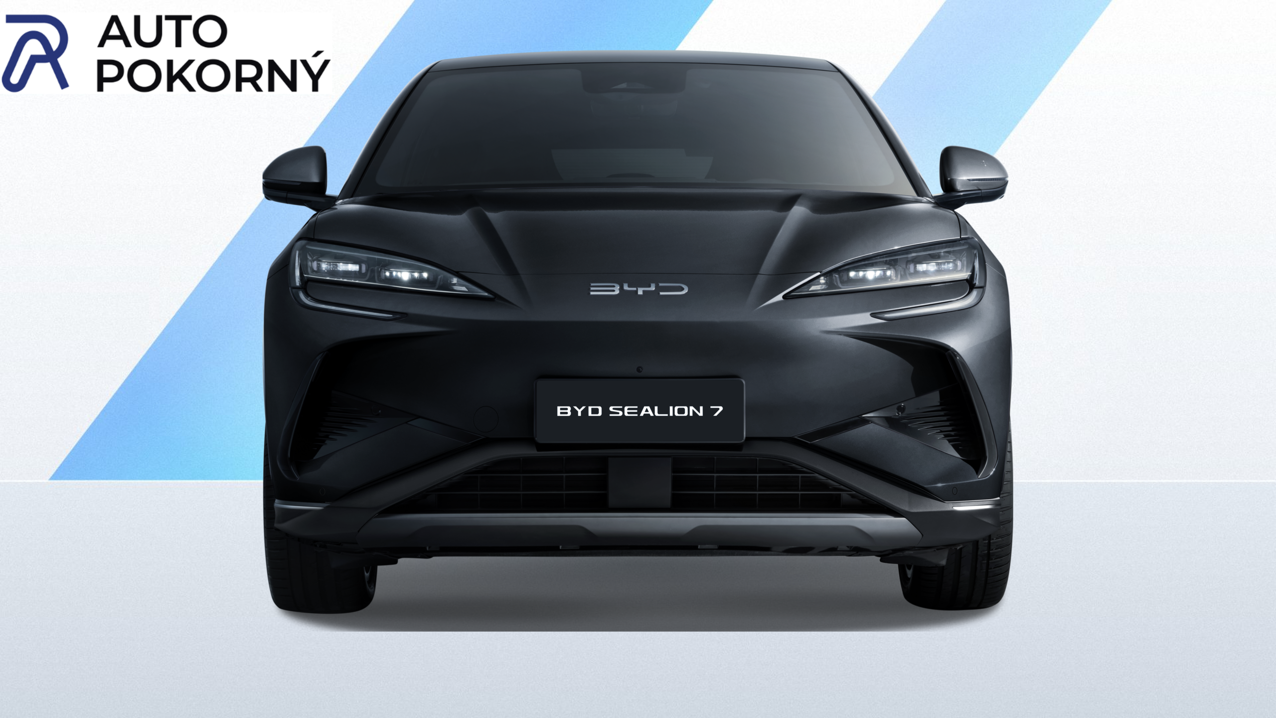 BYD Sealion 7, excellence