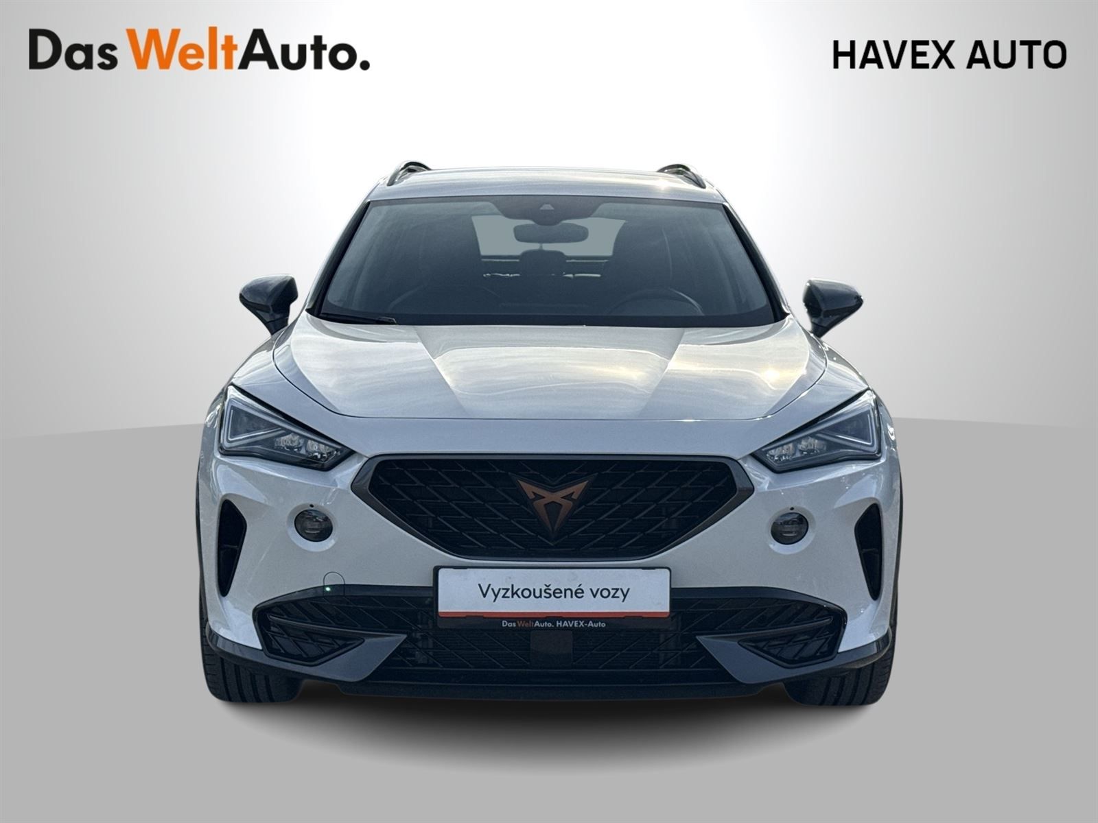 Cupra Formentor, 1.5 TSI DSG - fotka 4