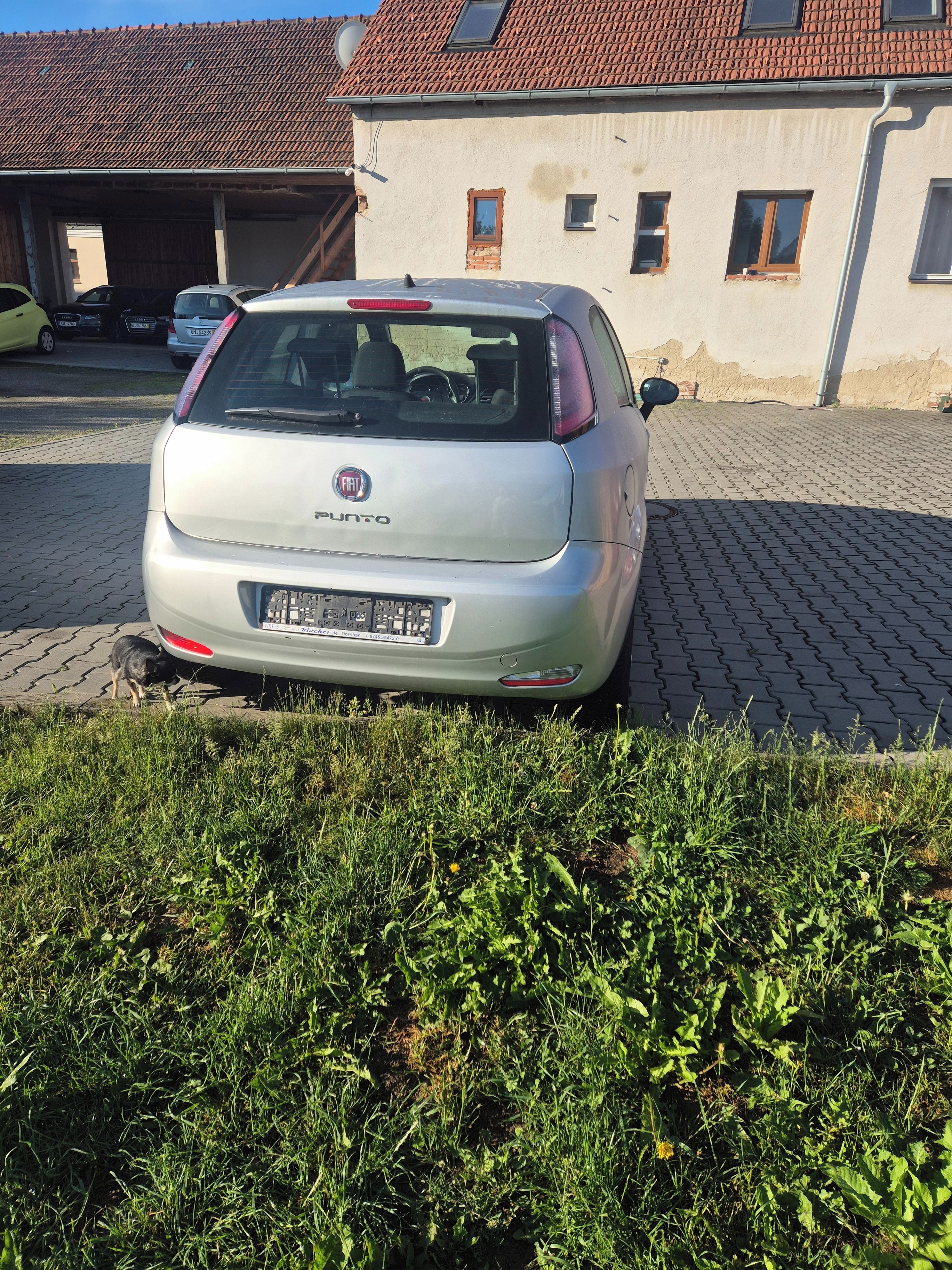 Fiat Punto - fotka 5
