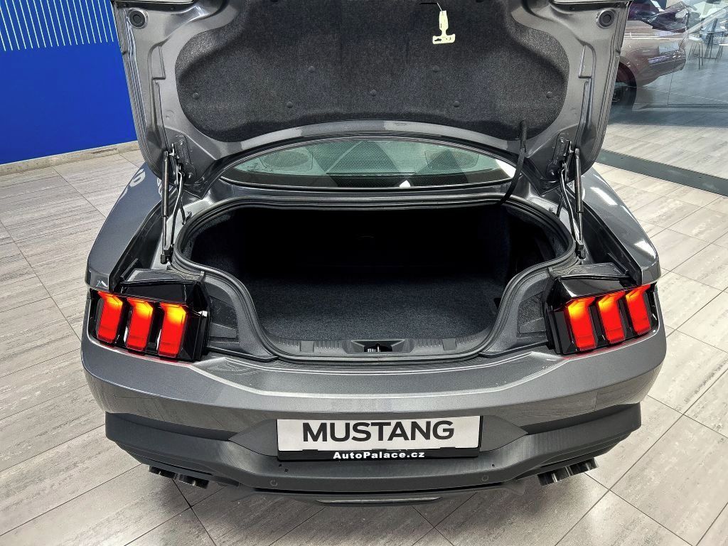 Ford Mustang, 5,0 V8 GT - fotka 5