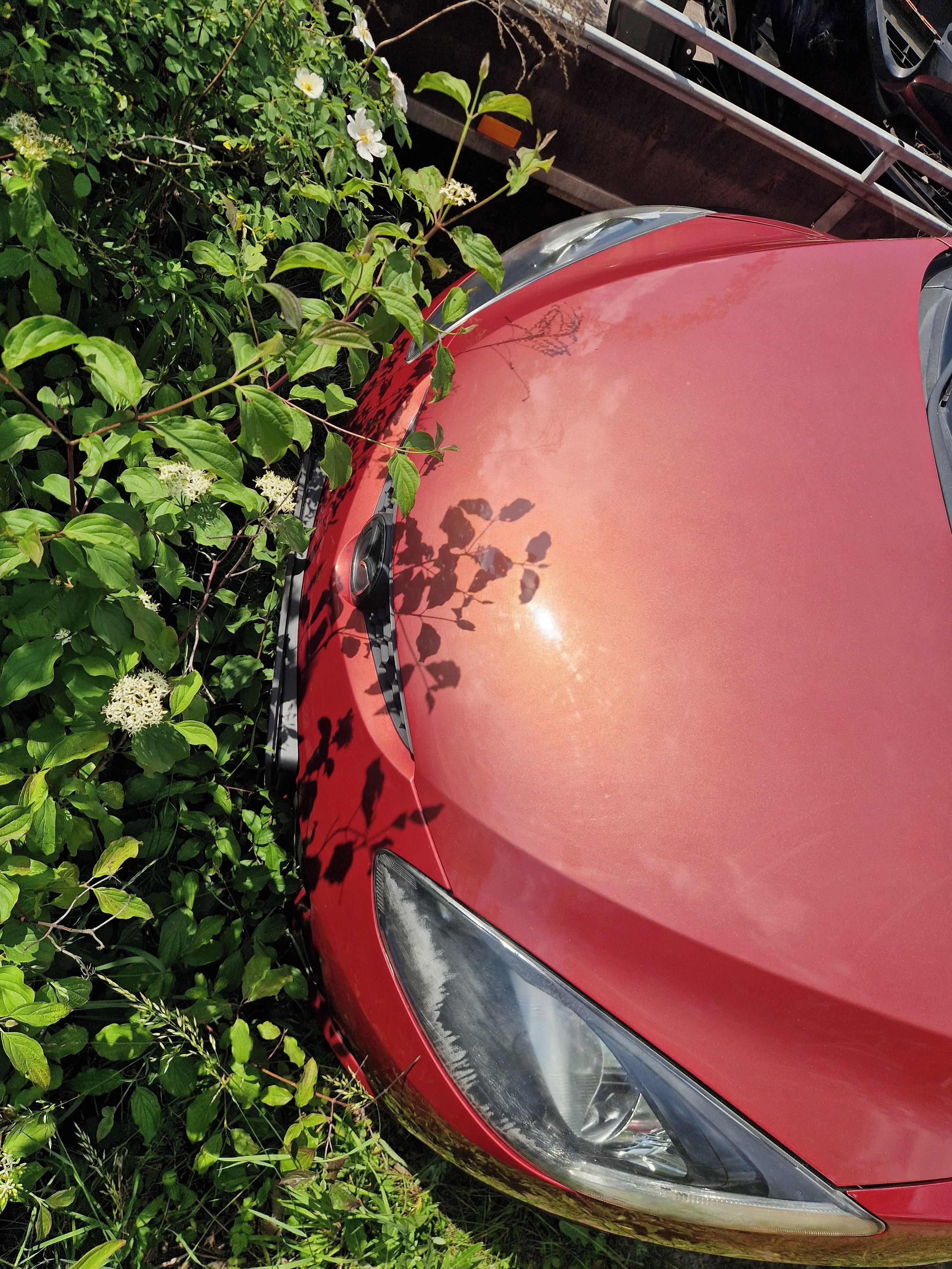 Mazda 2, Mazda 2 1.3i 2008
