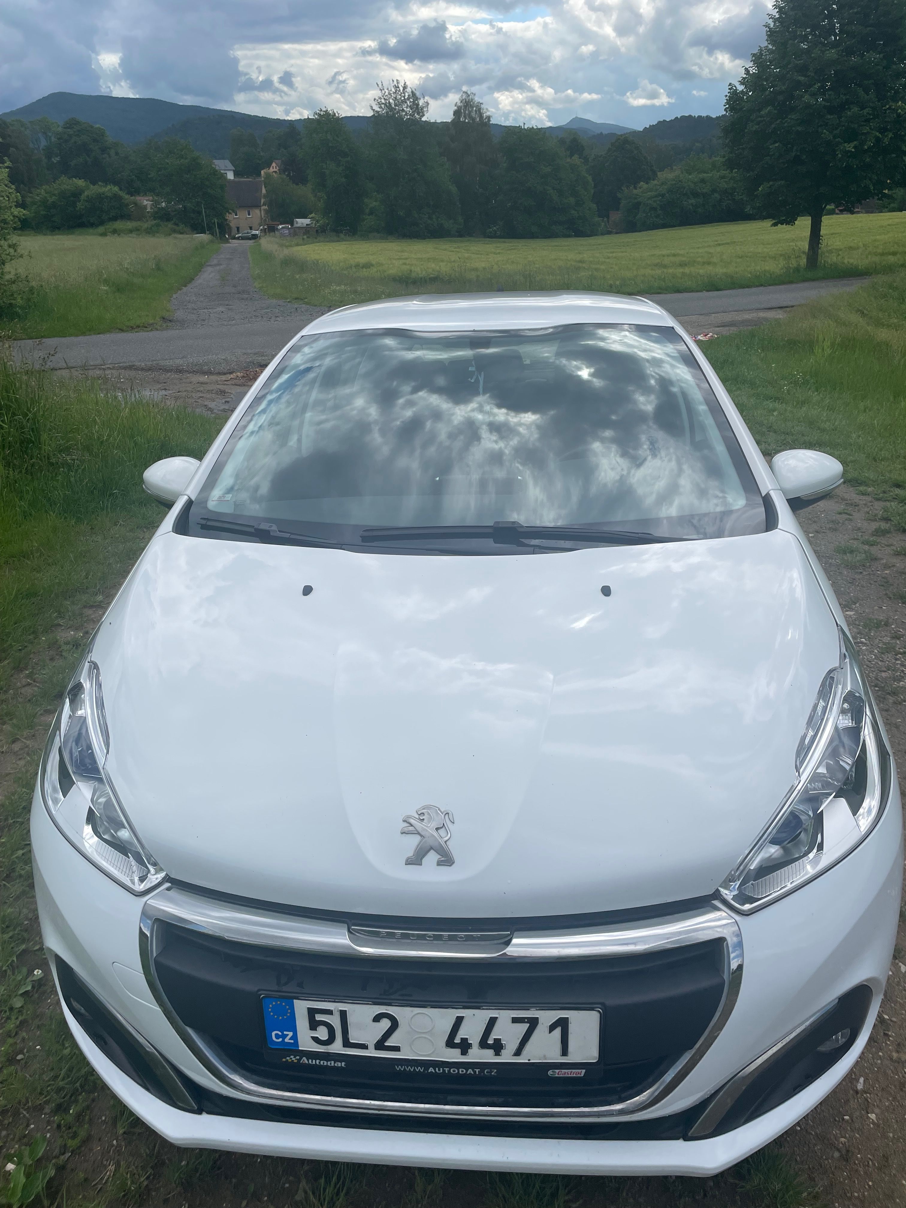 Peugeot 208, Servisováno