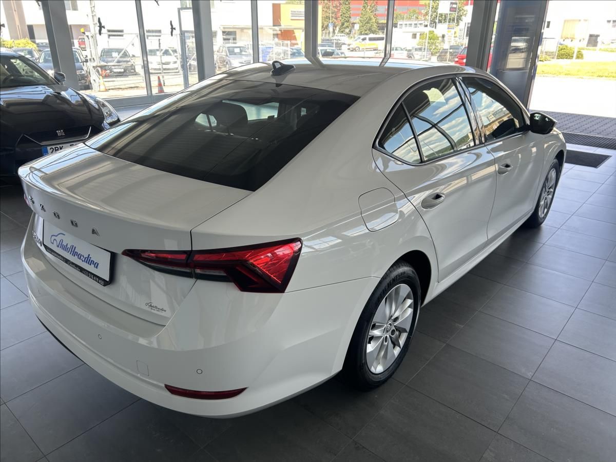 Škoda Octavia, 2,0   TDI 85kW,ČR,1.MAJITEL,DP - fotka 6