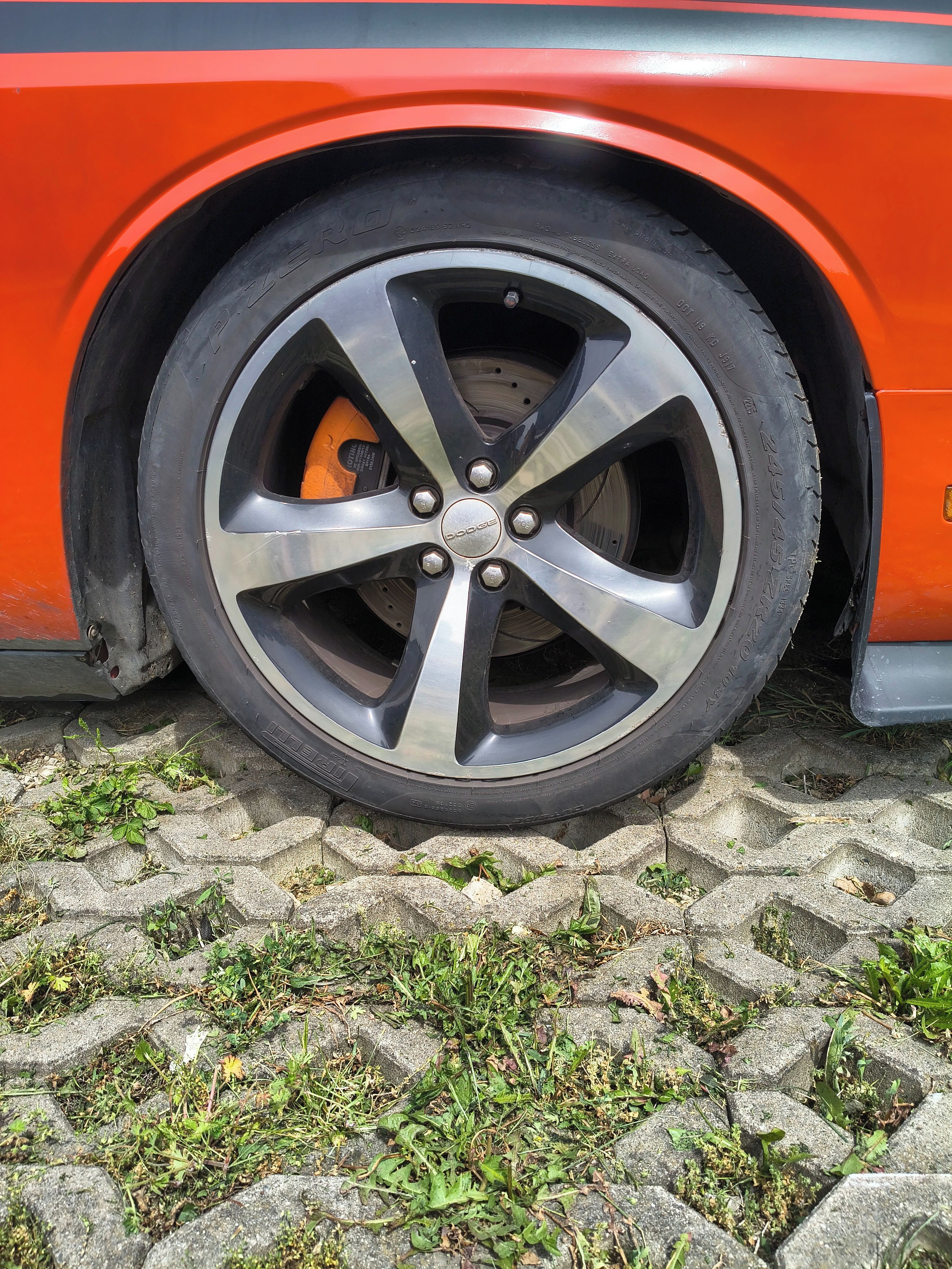 Dodge Challenger, Dodge Challenger - fotka 6