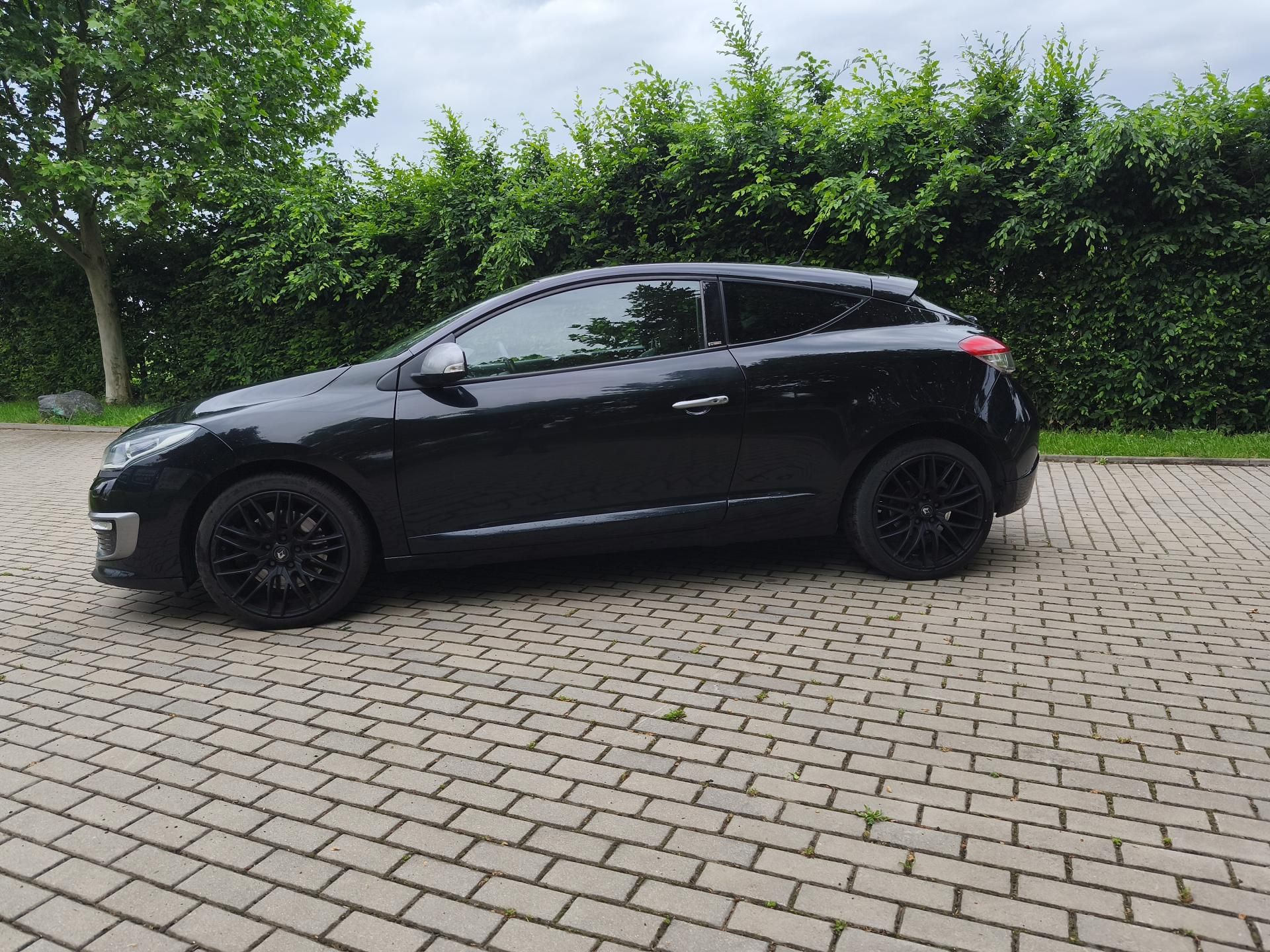 Renault Mégane, 220 GT - fotka 4