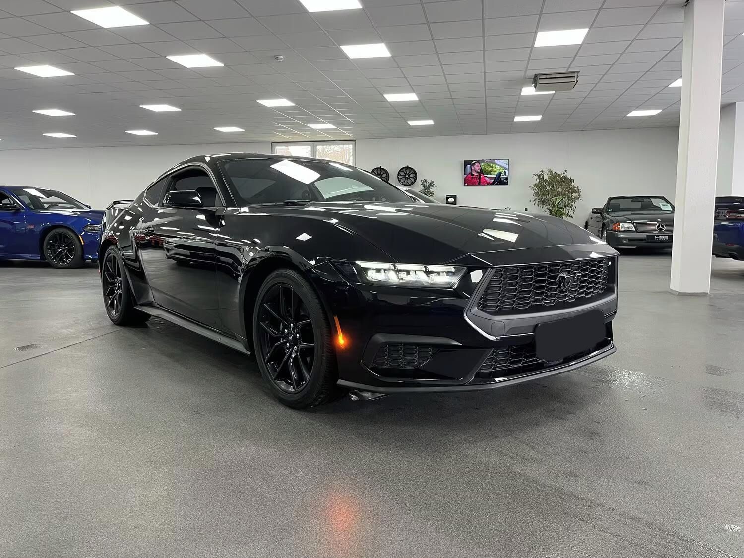 Ford Mustang, MUSTANG 2,3l EcoBoost Premium/ - fotka 3