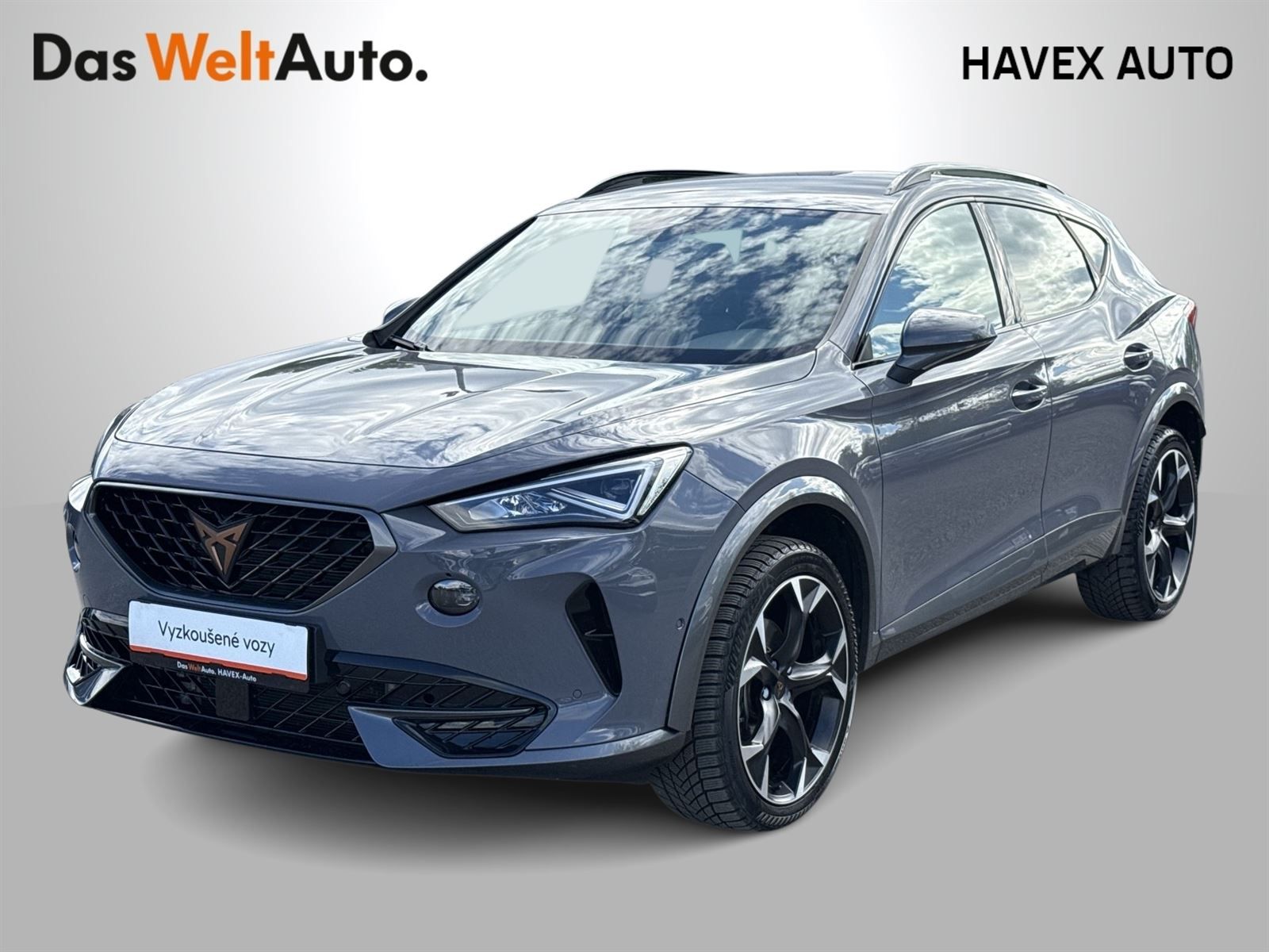Cupra Formentor, 2.0 TSI 4x4 DSG