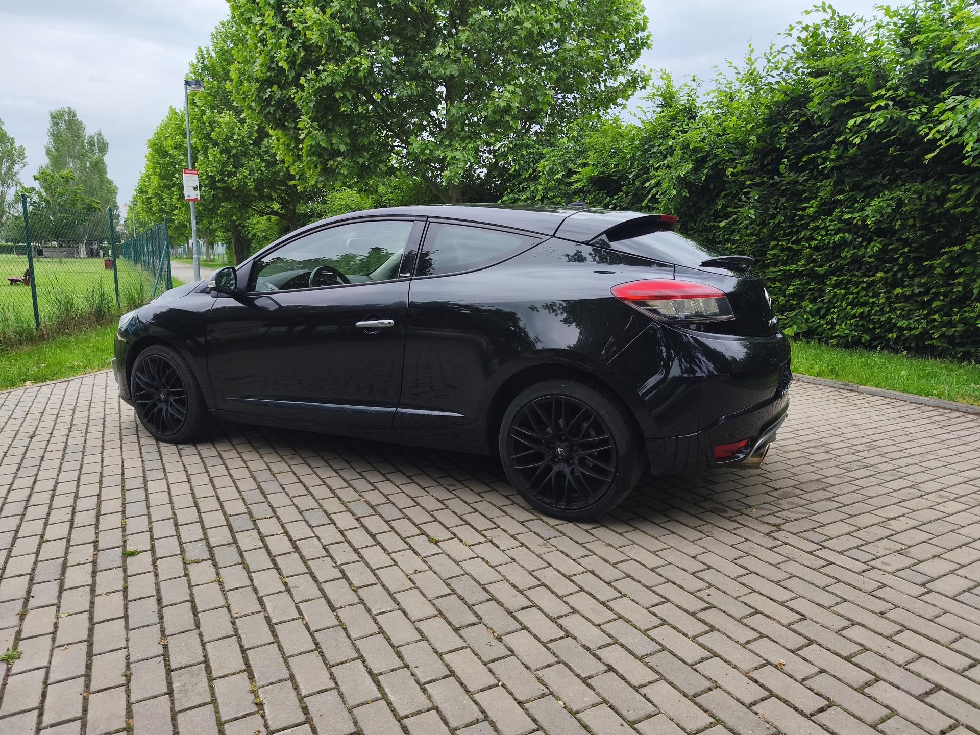 Renault Mégane, 220 GT - fotka 6