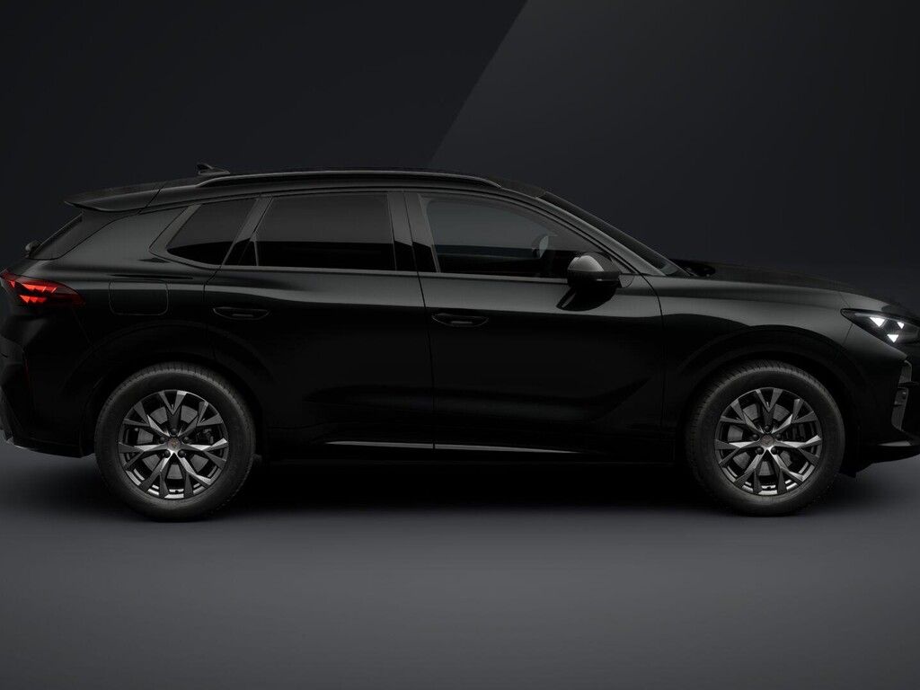 Cupra Terramar, 2.0TSI 150kW DSG 4WD - fotka 4