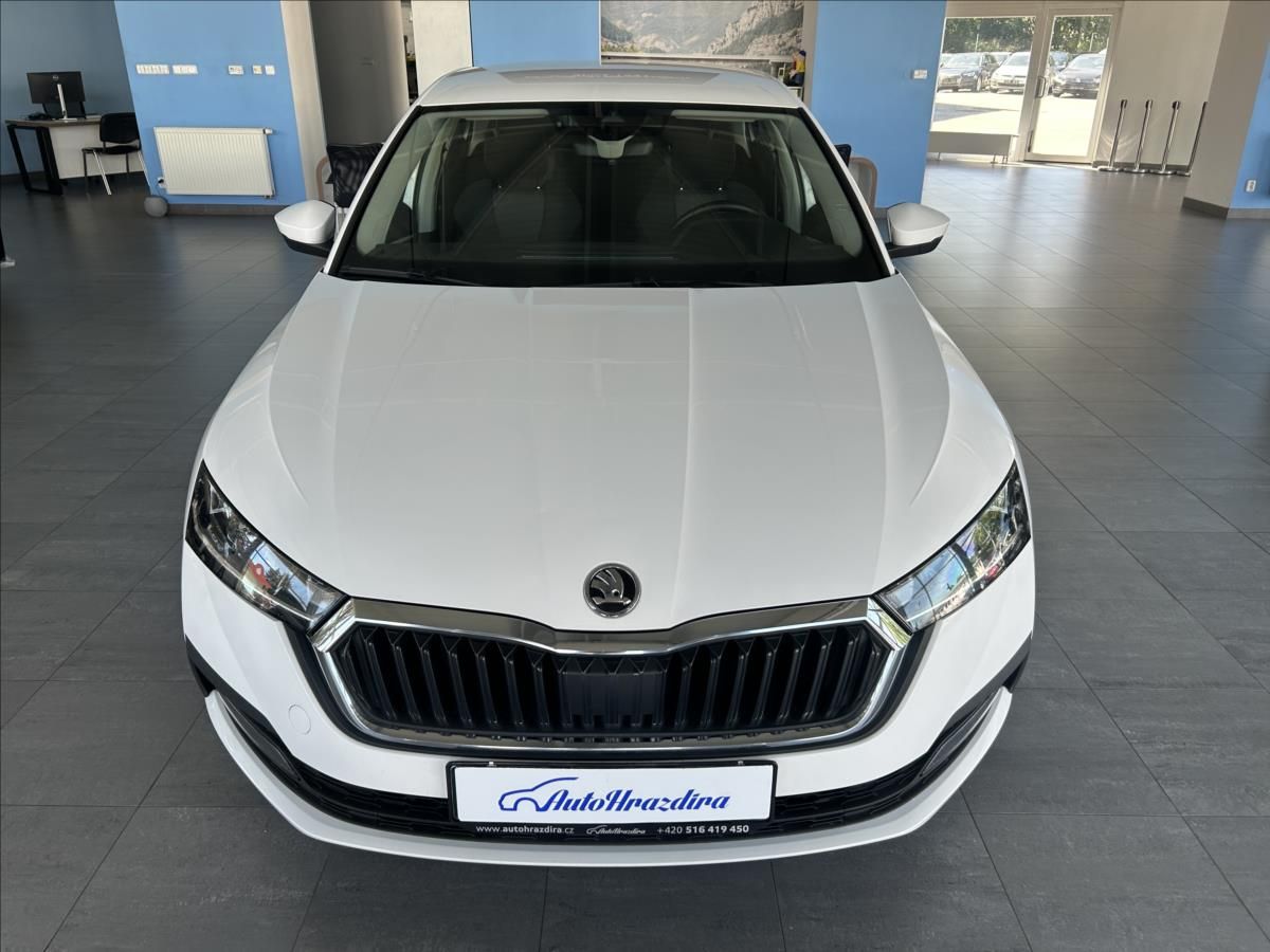 Škoda Octavia, 2,0   TDI 85kW,ČR,1.MAJITEL,DP - fotka 2