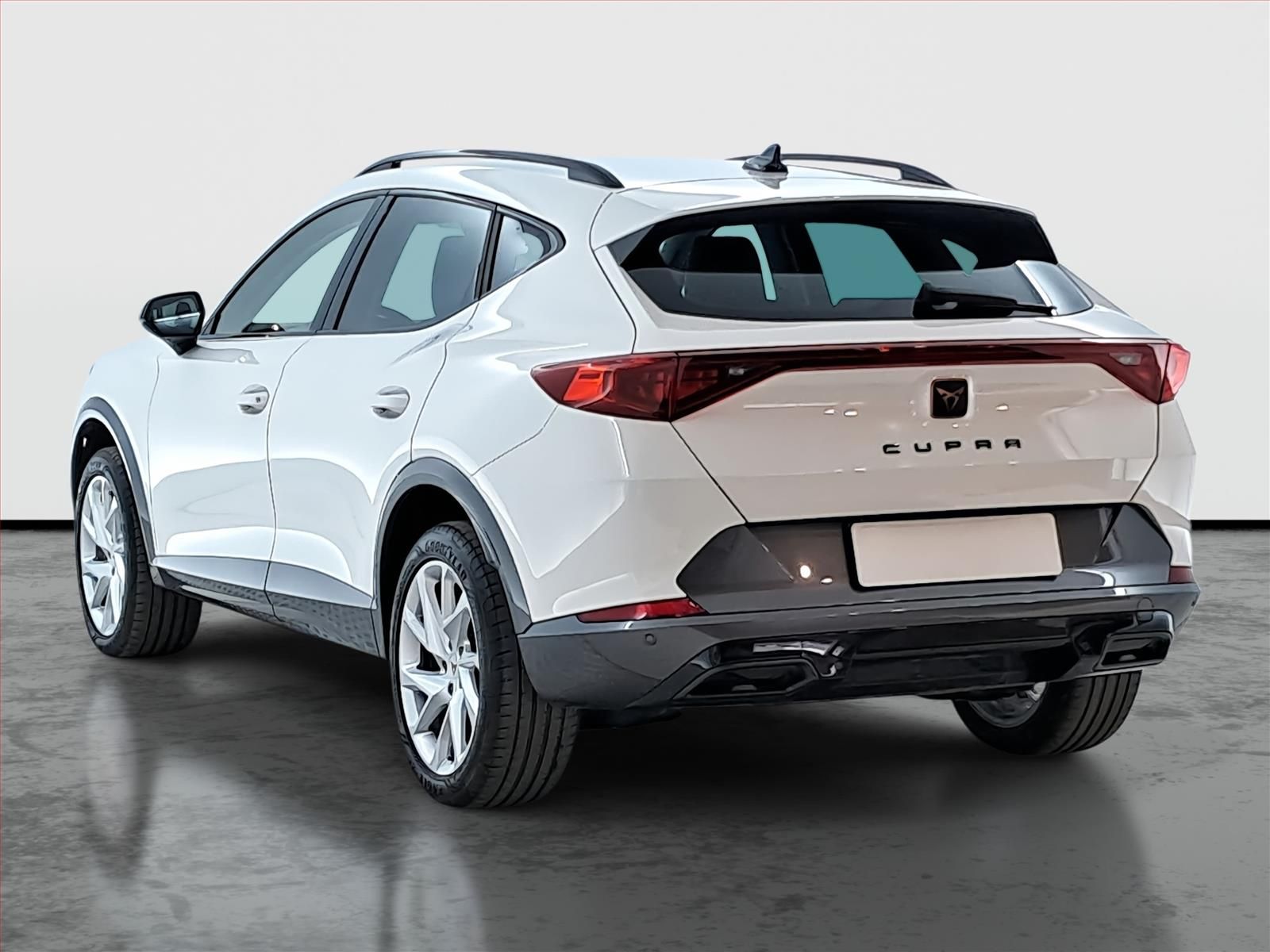 Cupra Formentor, 2.0 TSI 4Drive, 4X4, Automat - fotka 4
