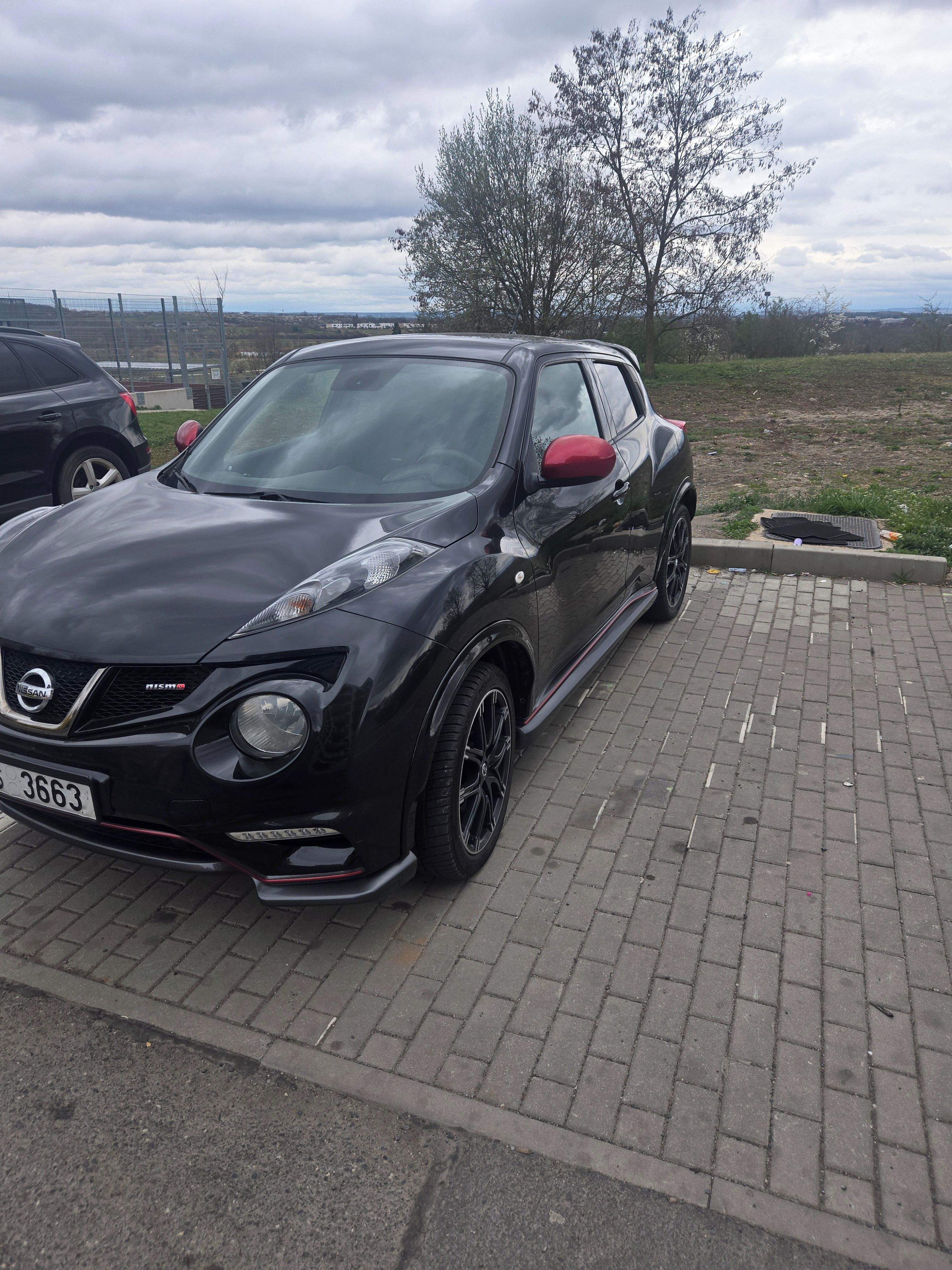 Nissan Juke, Nismo 4x4 1,6 DIG-T - fotka 2