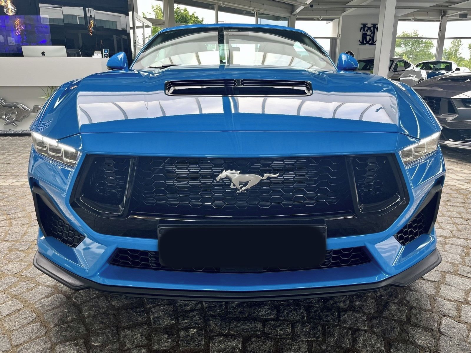 Ford Mustang, 5.0 V8 MANUAL*Brembo - fotka 5