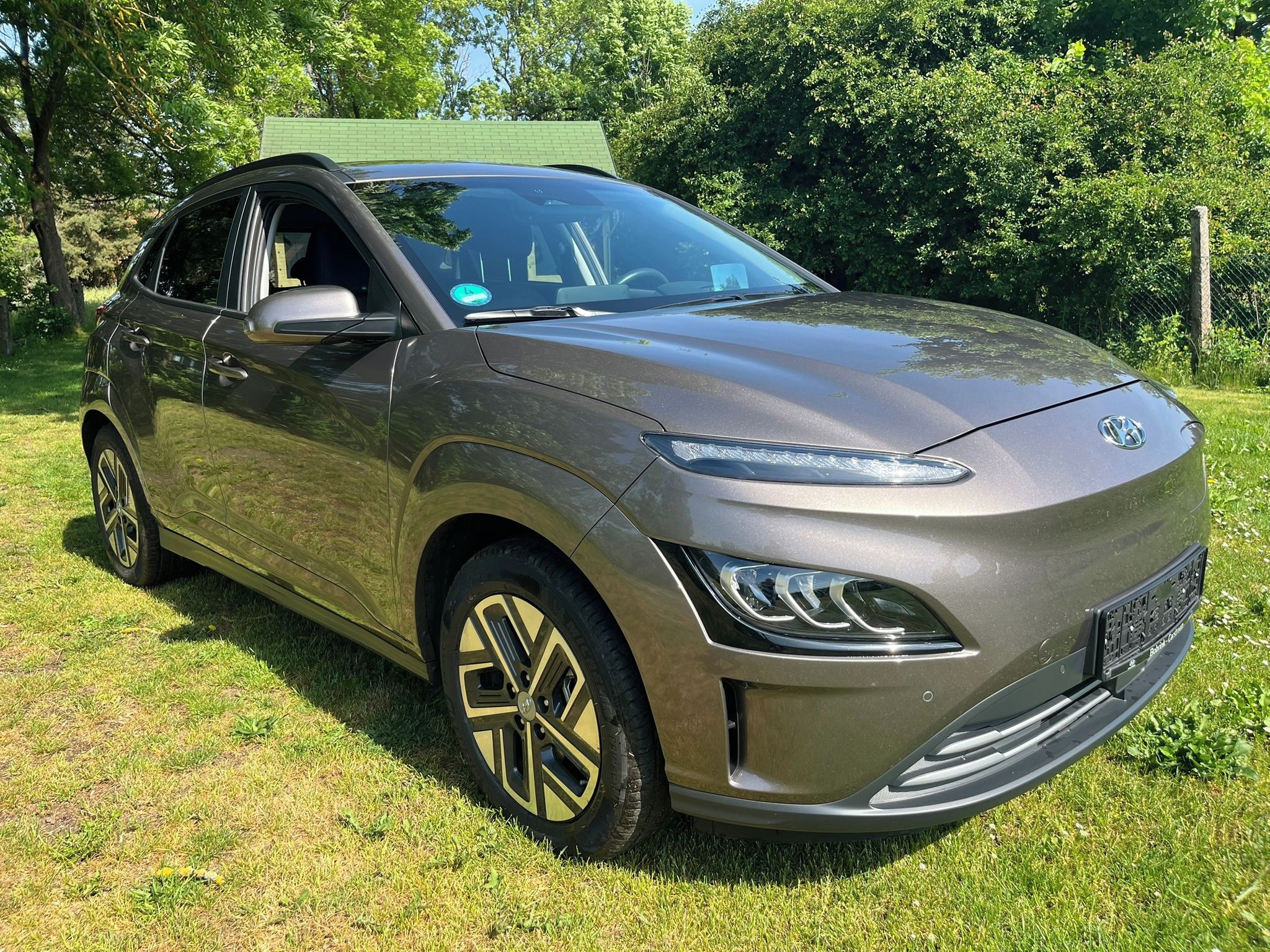 Hyundai Kona, PRIME 64 kWh, SOH 100%