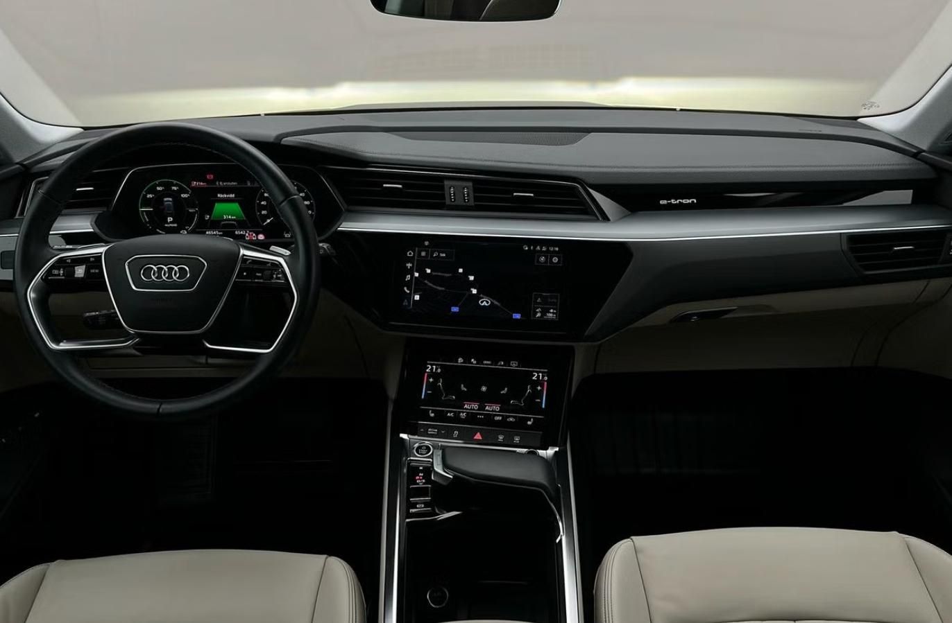 Audi Q8 e-tron, 55 Quattro Kamera Ambient LED - fotka 6