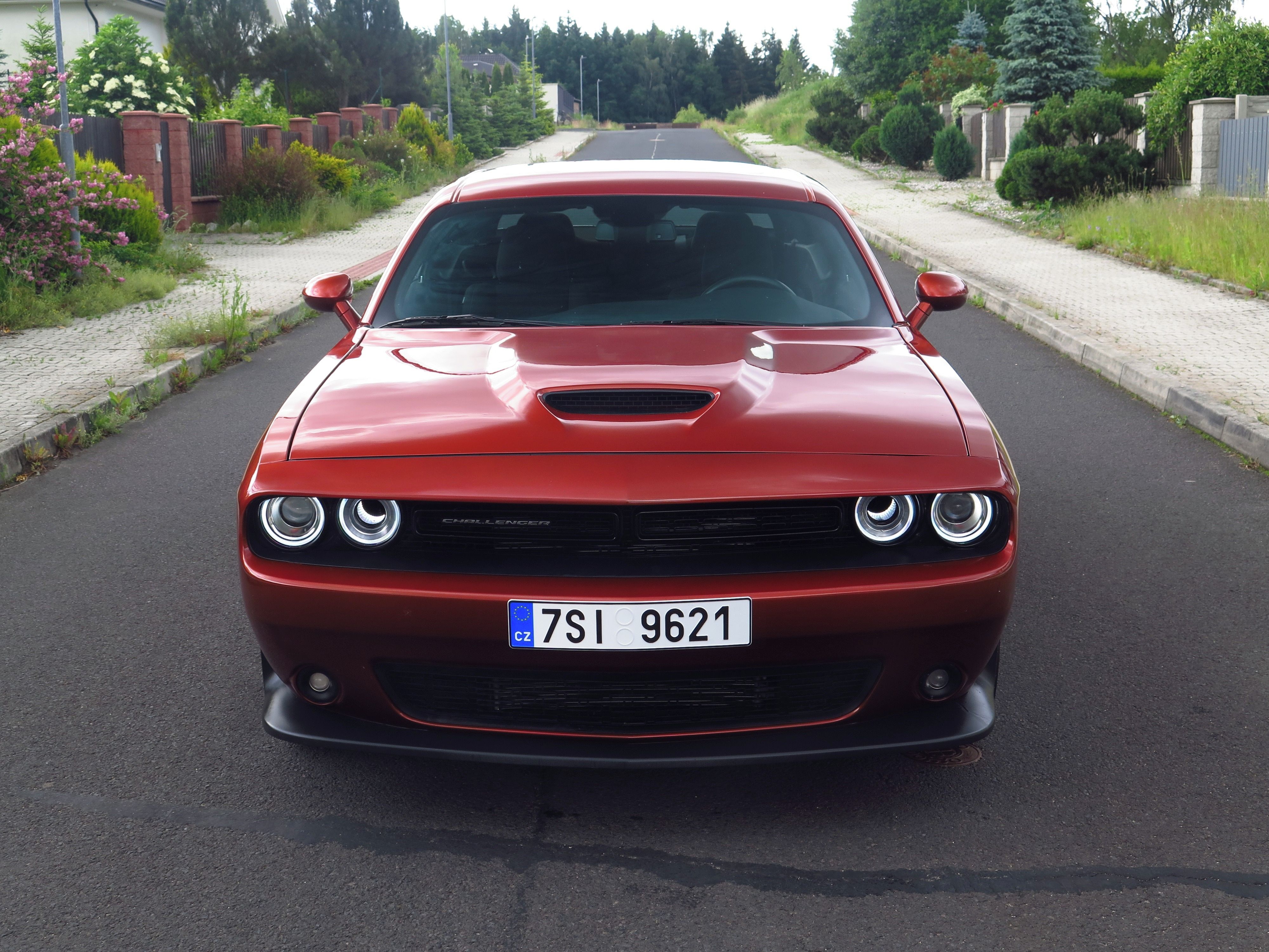 Dodge Challenger, 3.6 V6 2023 - DPH - last call