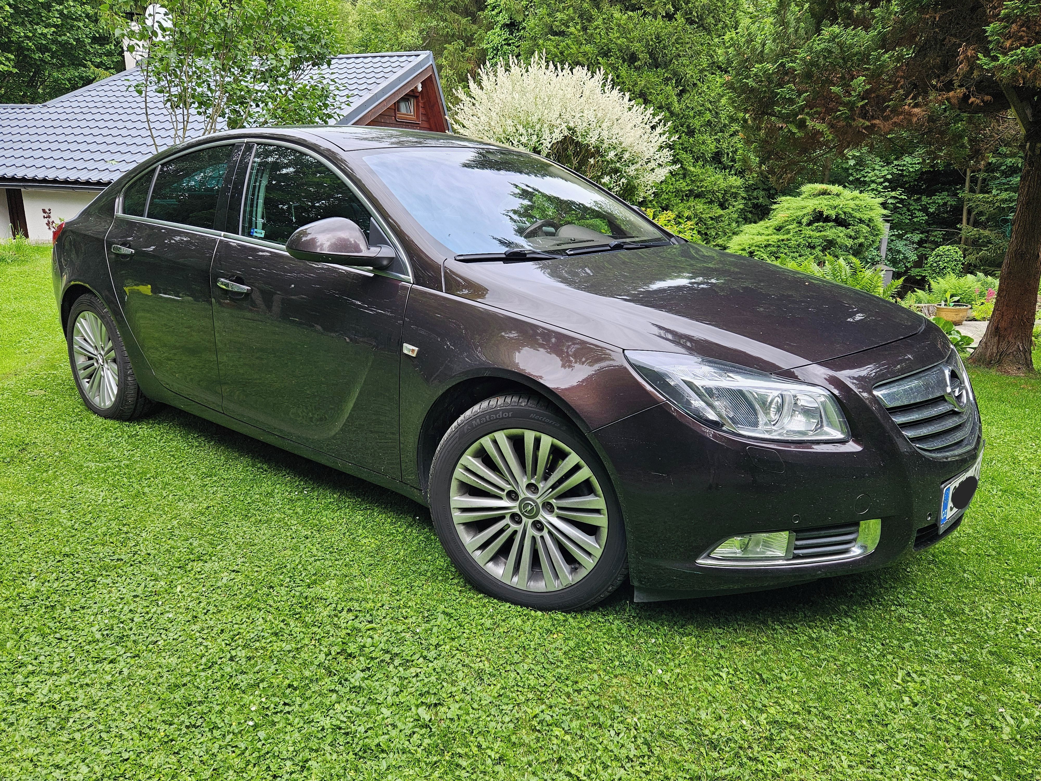 Opel Insignia, 1 majitel - fotka 3